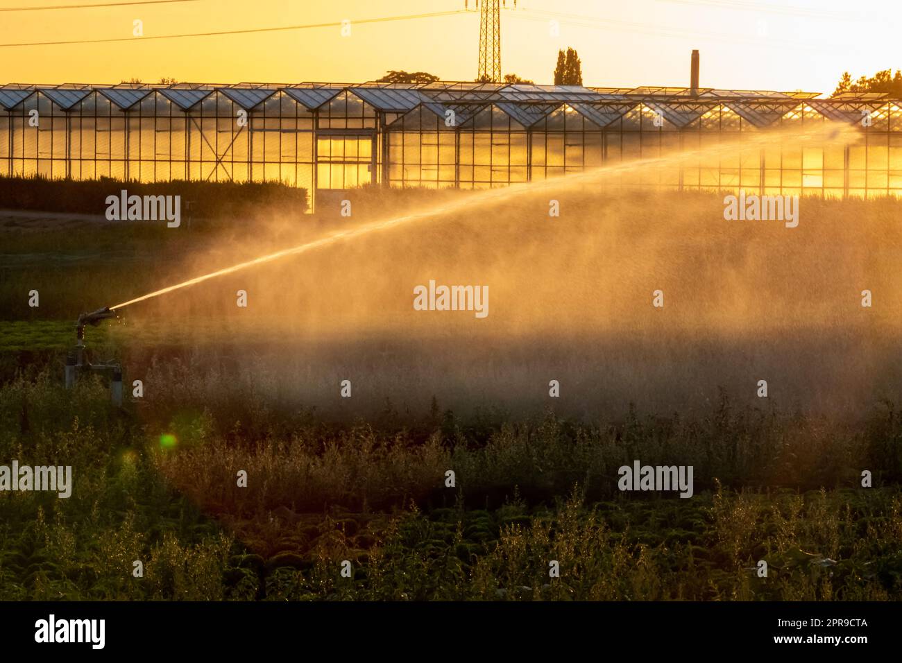 Il sistema di irrigazione agricola è necessario a causa delle calde estate e la siccità causata dai cambiamenti climatici minaccia l'agricoltura e l'agricoltura con il clima secco e l'assenza di precipitazioni gonfiano i prezzi del raccolto Foto Stock