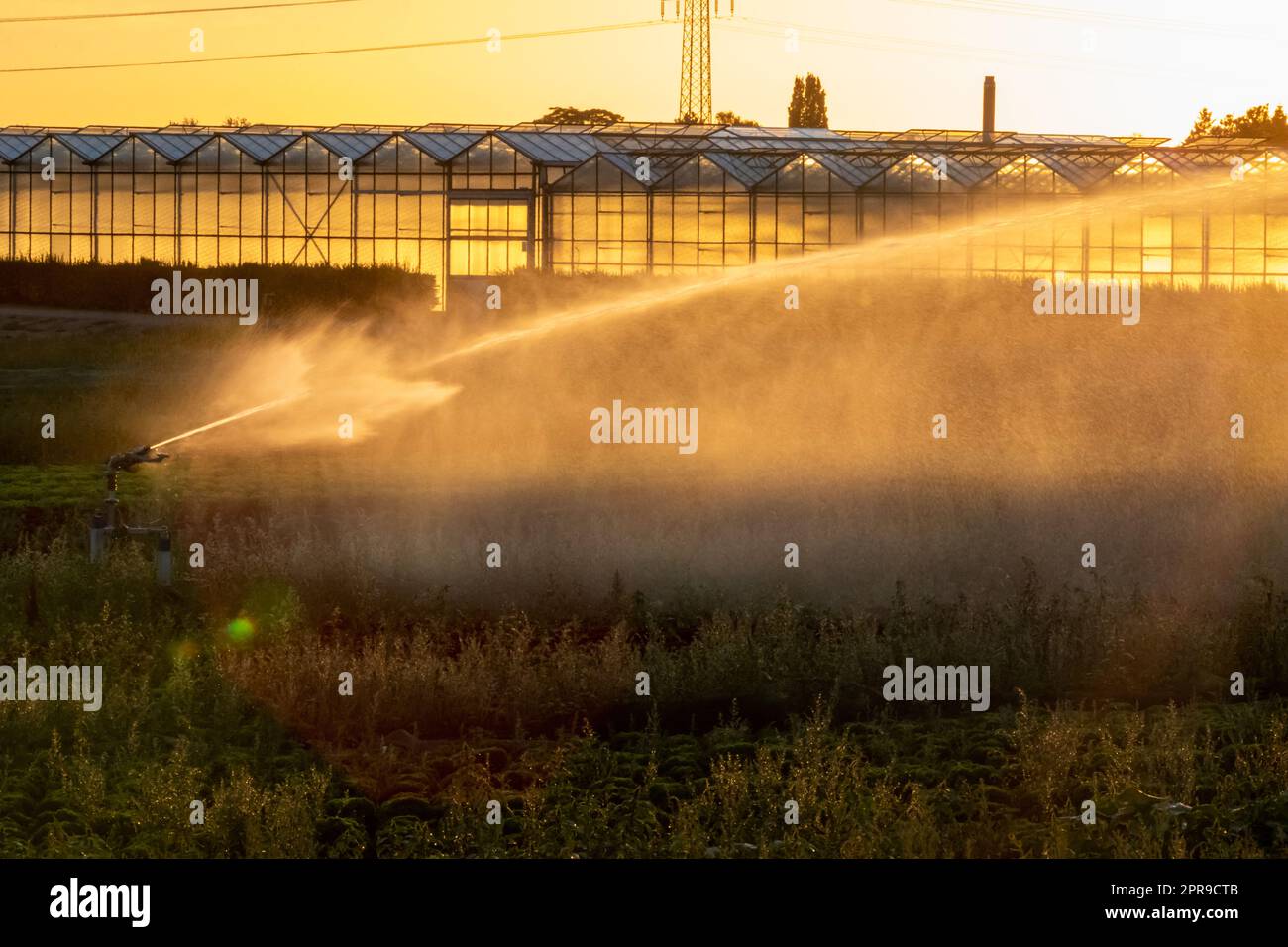 Il sistema di irrigazione agricola è necessario a causa delle calde estate e la siccità causata dai cambiamenti climatici minaccia l'agricoltura e l'agricoltura con il clima secco e l'assenza di precipitazioni gonfiano i prezzi del raccolto Foto Stock