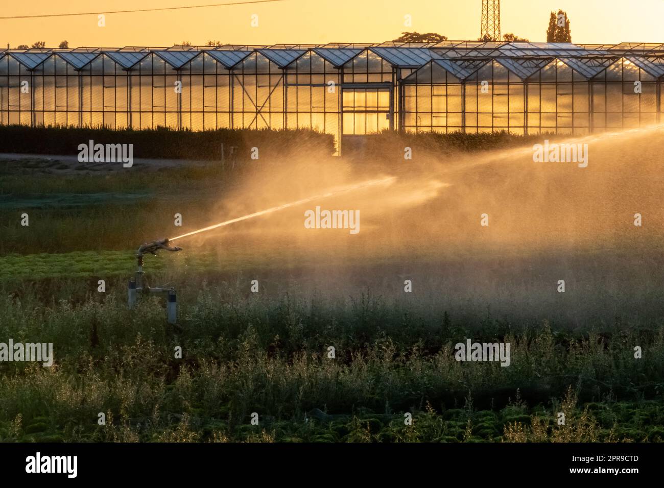 Il sistema di irrigazione agricola è necessario a causa delle calde estate e la siccità causata dai cambiamenti climatici minaccia l'agricoltura e l'agricoltura con il clima secco e l'assenza di precipitazioni gonfiano i prezzi del raccolto Foto Stock