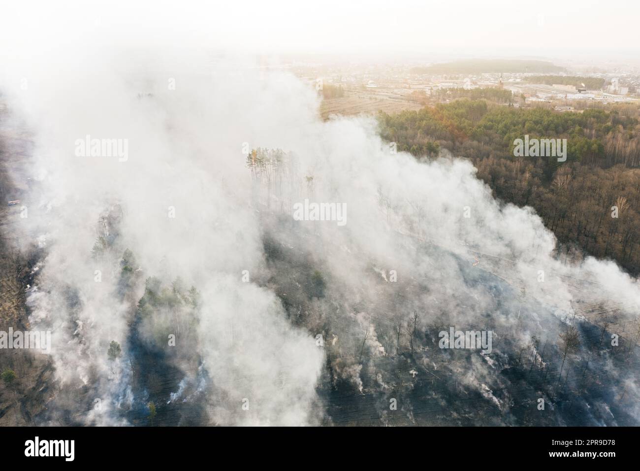 Vista aerea. L'erba secca brucia durante la siccità e le condizioni climatiche calde. Bush Fire and Smoke a Meadow Field. Wild Open Fire distrugge Grass. Natura in pericolo. Problema ecologico inquinamento atmosferico. Calamità naturale Foto Stock