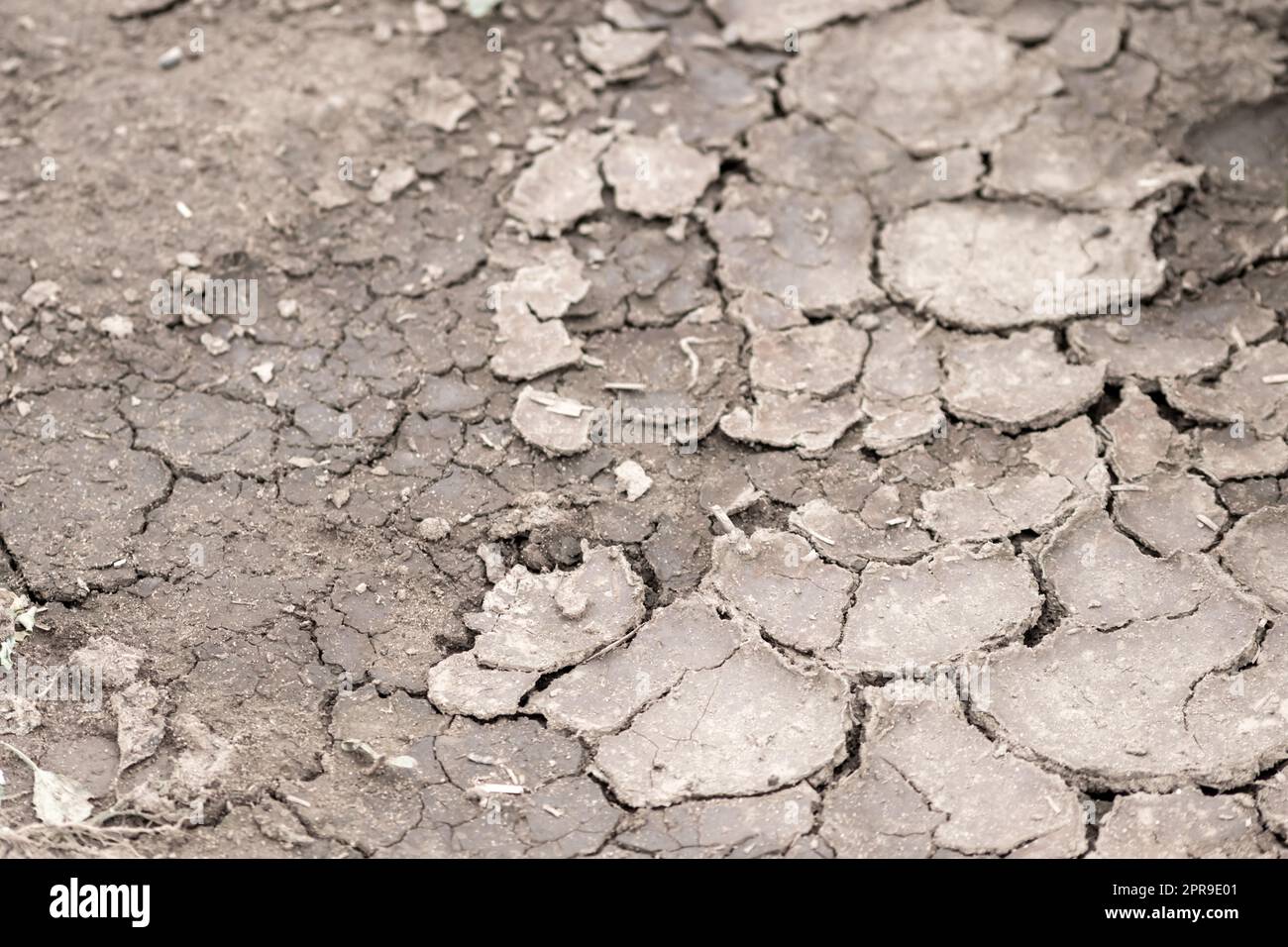 Nessuna pioggia causa campi secchi durante la siccità dopo un periodo di caldo molto caldo in estate per le zone desolate con superficie incrinata e terreni agricoli rotti a causa dei cambiamenti climatici e del riscaldamento globale per lo scarico delle perdite di raccolto Foto Stock