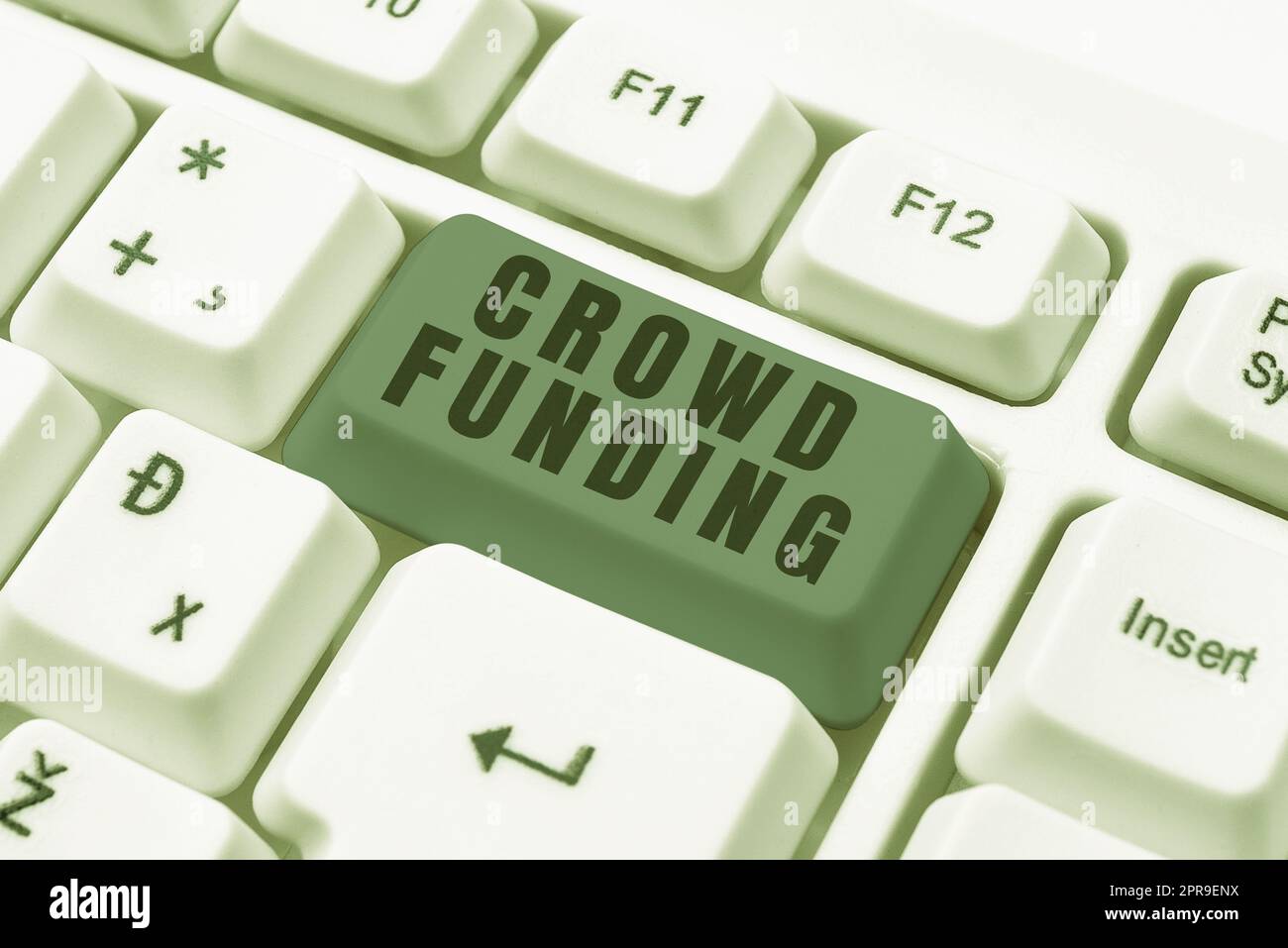 Scrittura mano segno folla finanziamento. Panoramica aziendale Fundraising Kickstarter Startup pegno piattaforma Donazioni -48675 Foto Stock