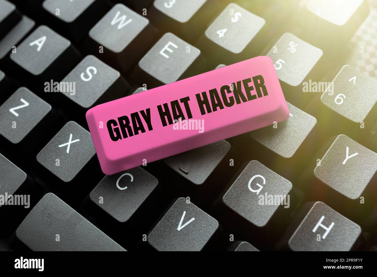 Testo della scrittura Gray Hat Hacker. Business Concept esperto di sicurezza informatica che a volte può violare le leggi -48666 Foto Stock