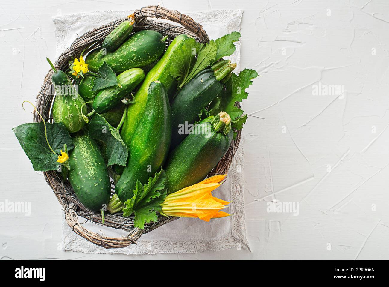 Colture vegetali zucchine cetriolo Foto Stock