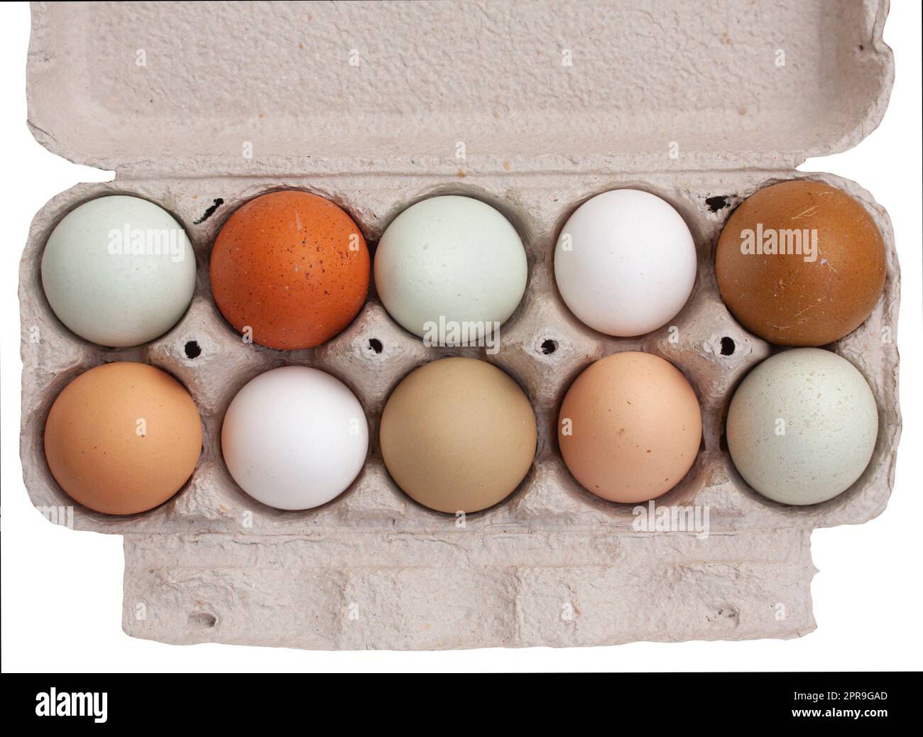 Vassoio aperto compostabile con dieci uova di pollo fresche e biologiche crude in diverse tonalità di colore naturale, direttamente dall'alto. Vista dall'alto e immagine ravvicinata Foto Stock