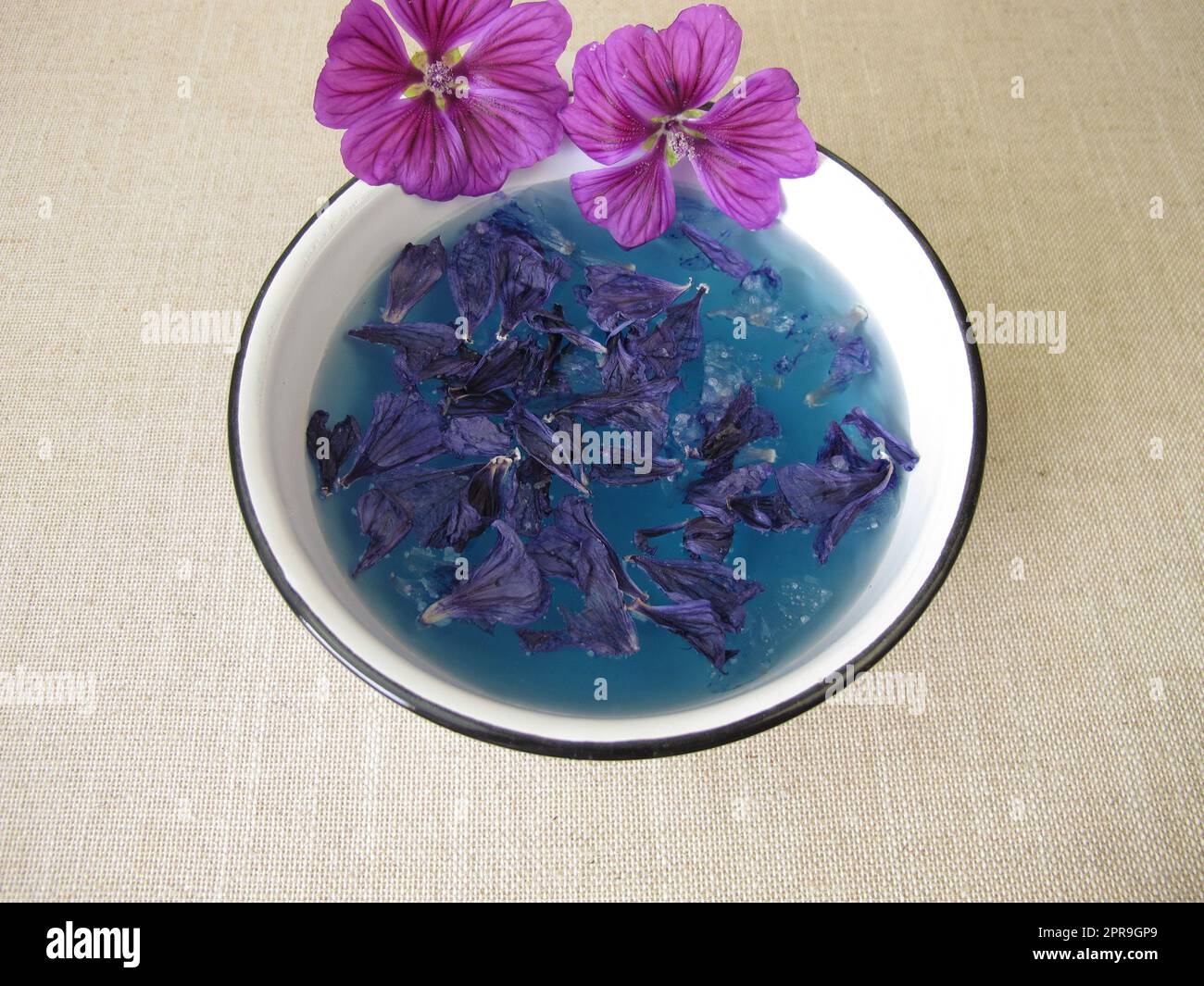 Bagno colorante blu con fiori di malva, colore blu delle piante Foto Stock