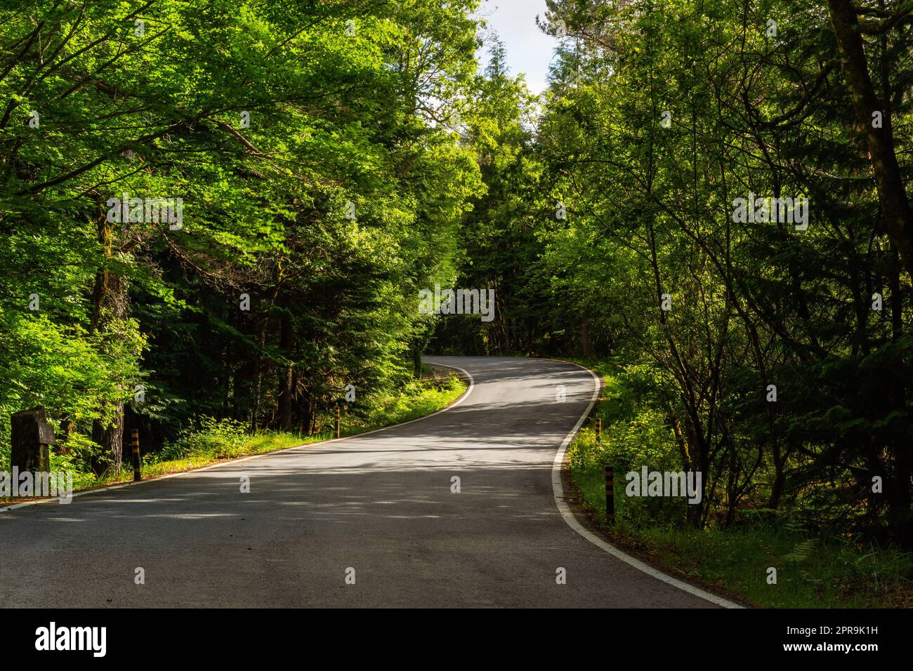 Paesaggio di primavera con il trasporto su strada Foto Stock