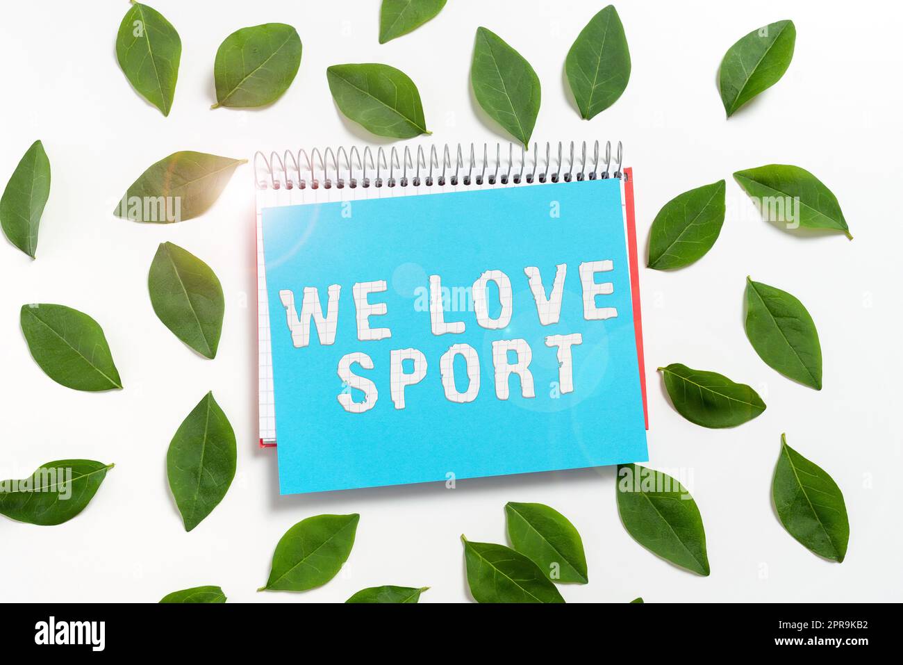 Cartello con la scritta We Love Sport. Foto concettuale che ti piace molto praticare attività sportive e atletiche, elabora il libro a spirale e la carta bianca con foglie fresche per inviti creativi. Foto Stock