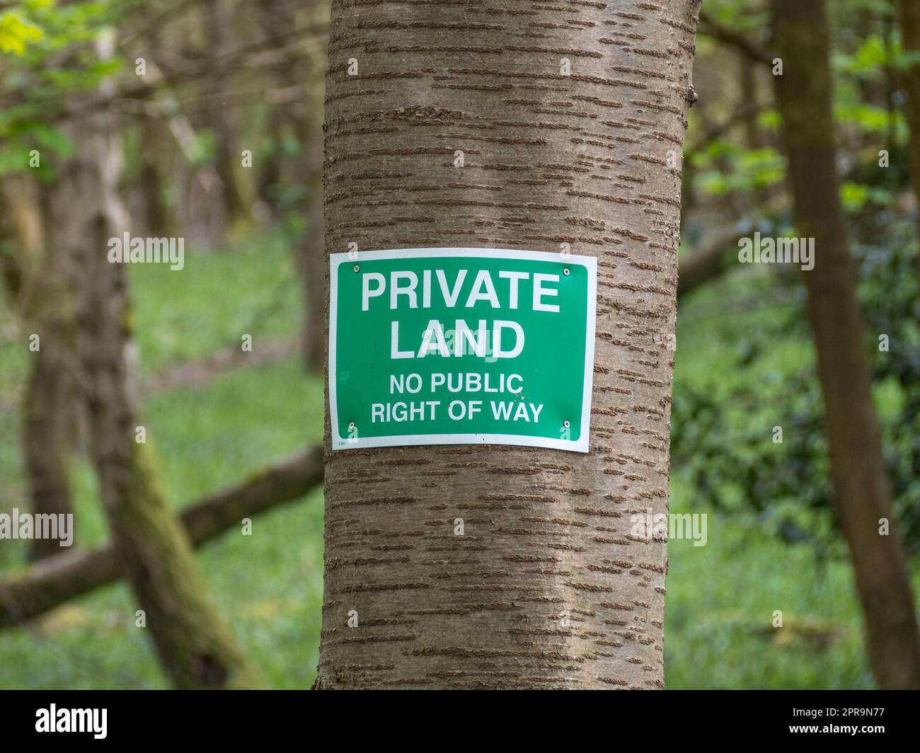 Cartello "Private Land No public right of way" su un albero accanto a un sentiero pubblico vicino a Henley-on-Thames, Oxfordshire, Inghilterra. Foto Stock