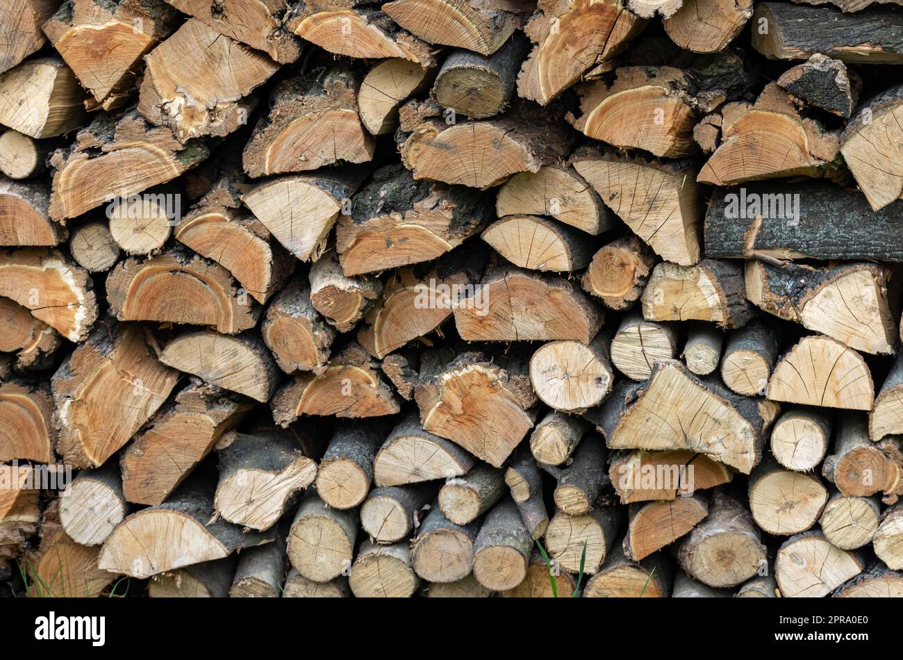 Catasta di legna da ardere preparato per l'inverno Foto Stock