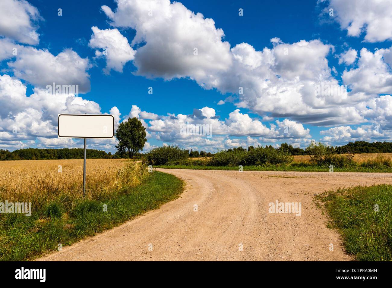 Una strada di campagna si divide in due, prendendo una decisione che richiede un bivio Foto Stock