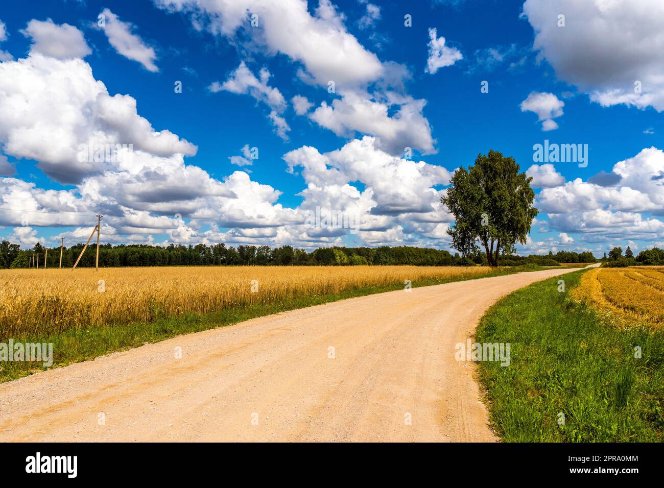 Splendido paesaggio estivo con una strada di campagna Foto Stock