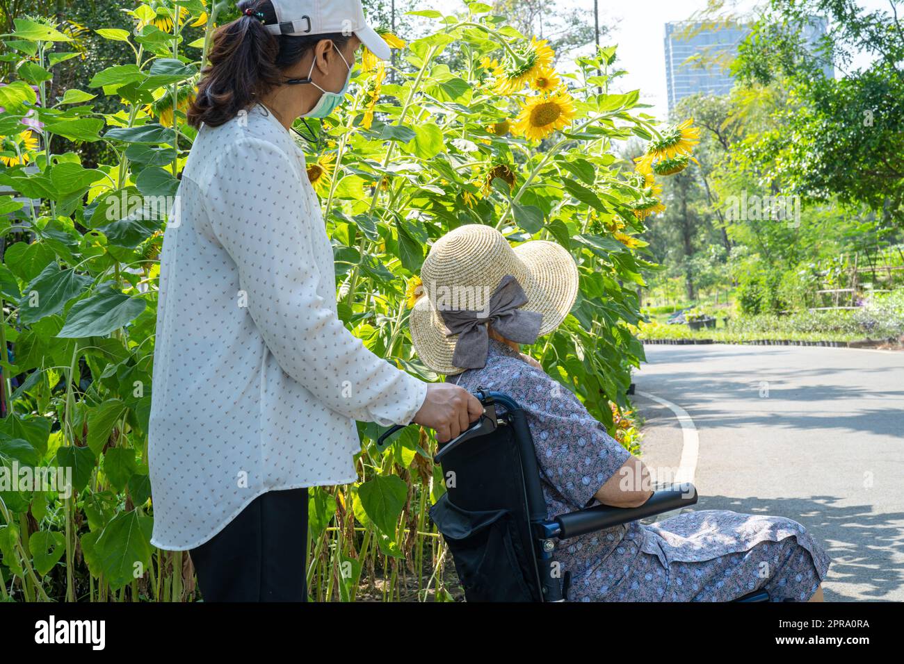 Assistenza e cura degli operatori asiatici anziani anziani o anziani anziana donna paziente seduta e felice su sedia a rotelle nel parco, sano forte concetto medico. Foto Stock