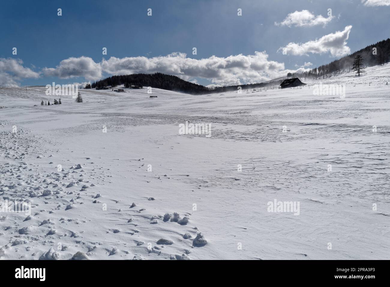 Calmo pascolo alpino in inverno Foto Stock