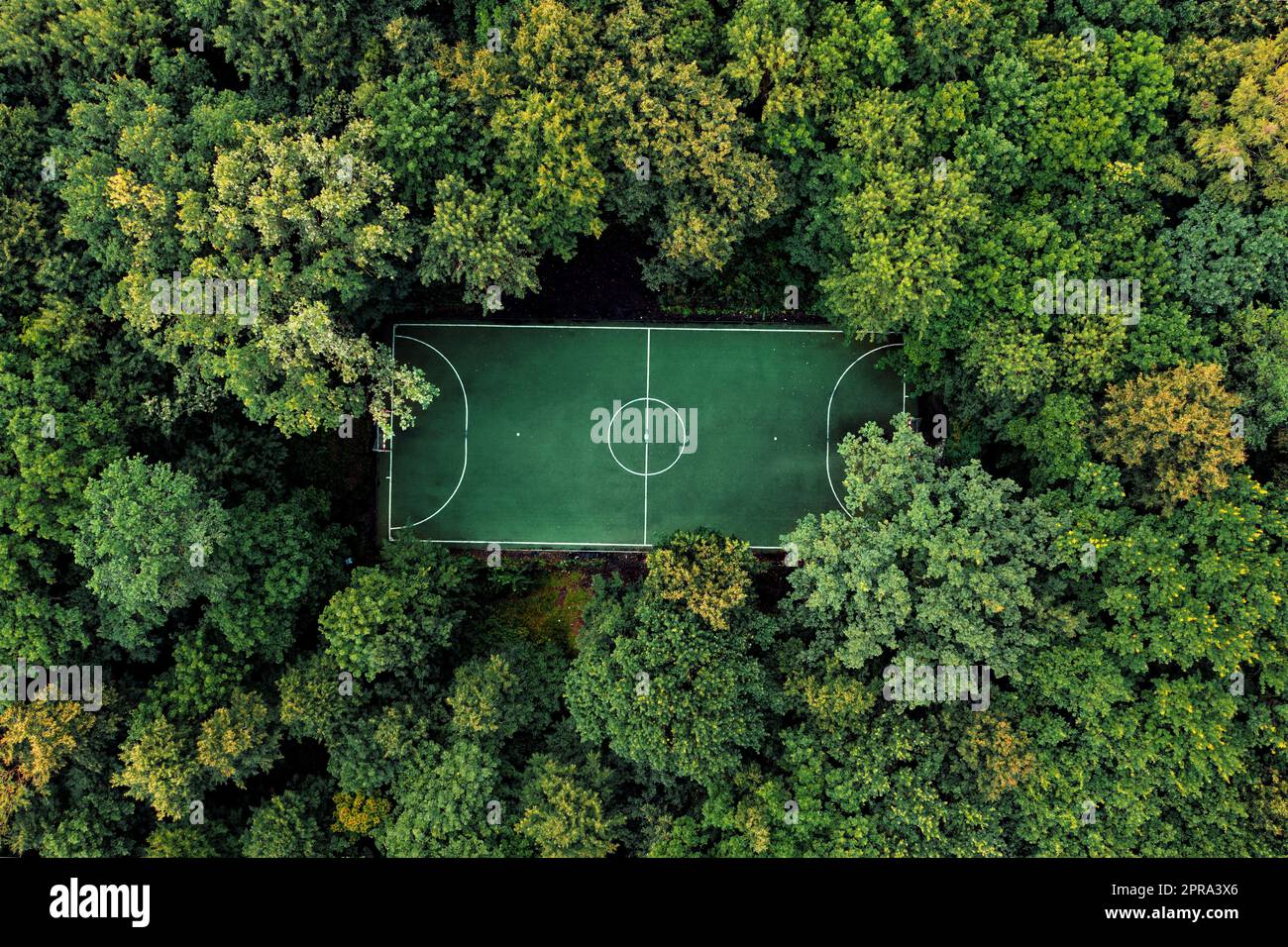 campo da calcio dall alto