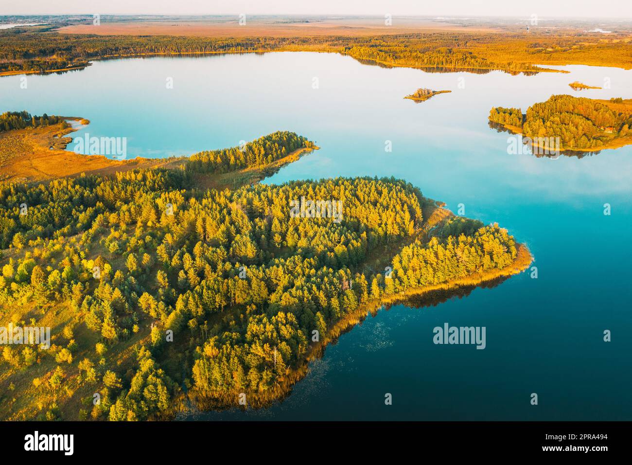 Distretto di Braslaw, Vitebsk Voblast, Bielorussia. Vista aerea del lago Ikazn, paesaggio della Foresta Verde. Vista dall'alto della splendida natura europea da High Attitude. Bird's Eye View. Laghi famosi Foto Stock