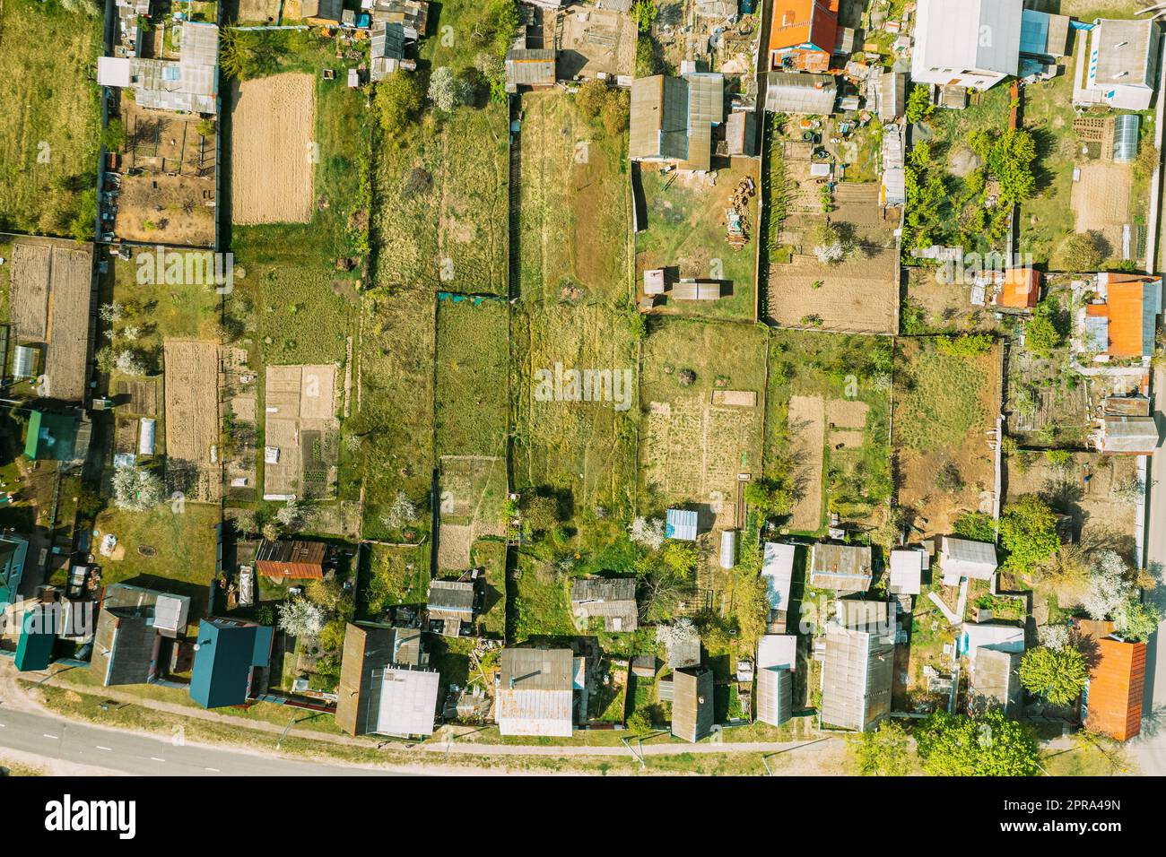 Bielorussia, Europa. Vista aerea di piccola città e skyline del villaggio in estate. Quartiere residenziale, case e letti con giardino vegetale con vista Bird's-Eye Foto Stock