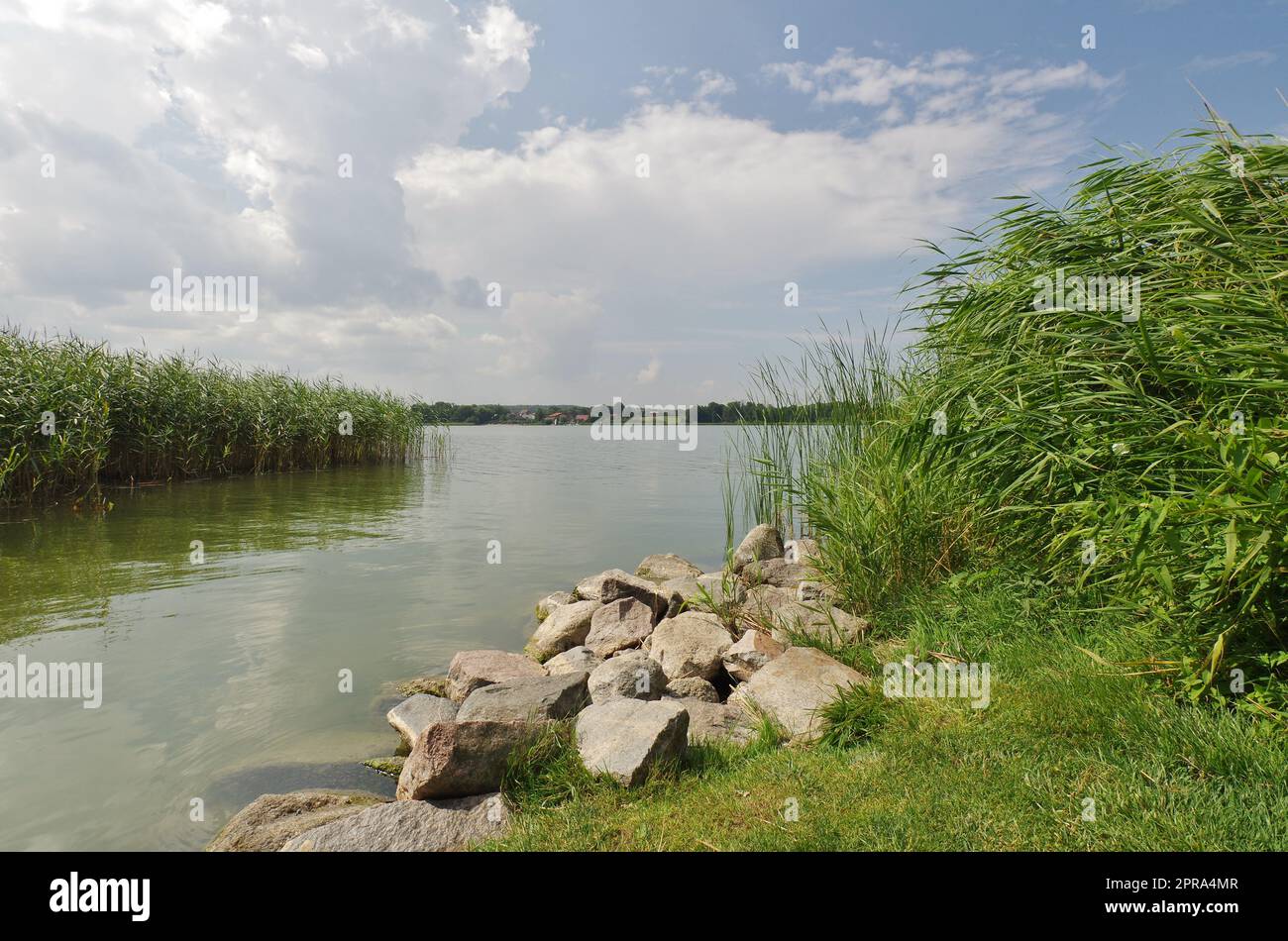 Lago Hemmelsdorf, Grammersdorf, Ratekau, Ostholstein, Schleswig-Holstein, Germania Foto Stock