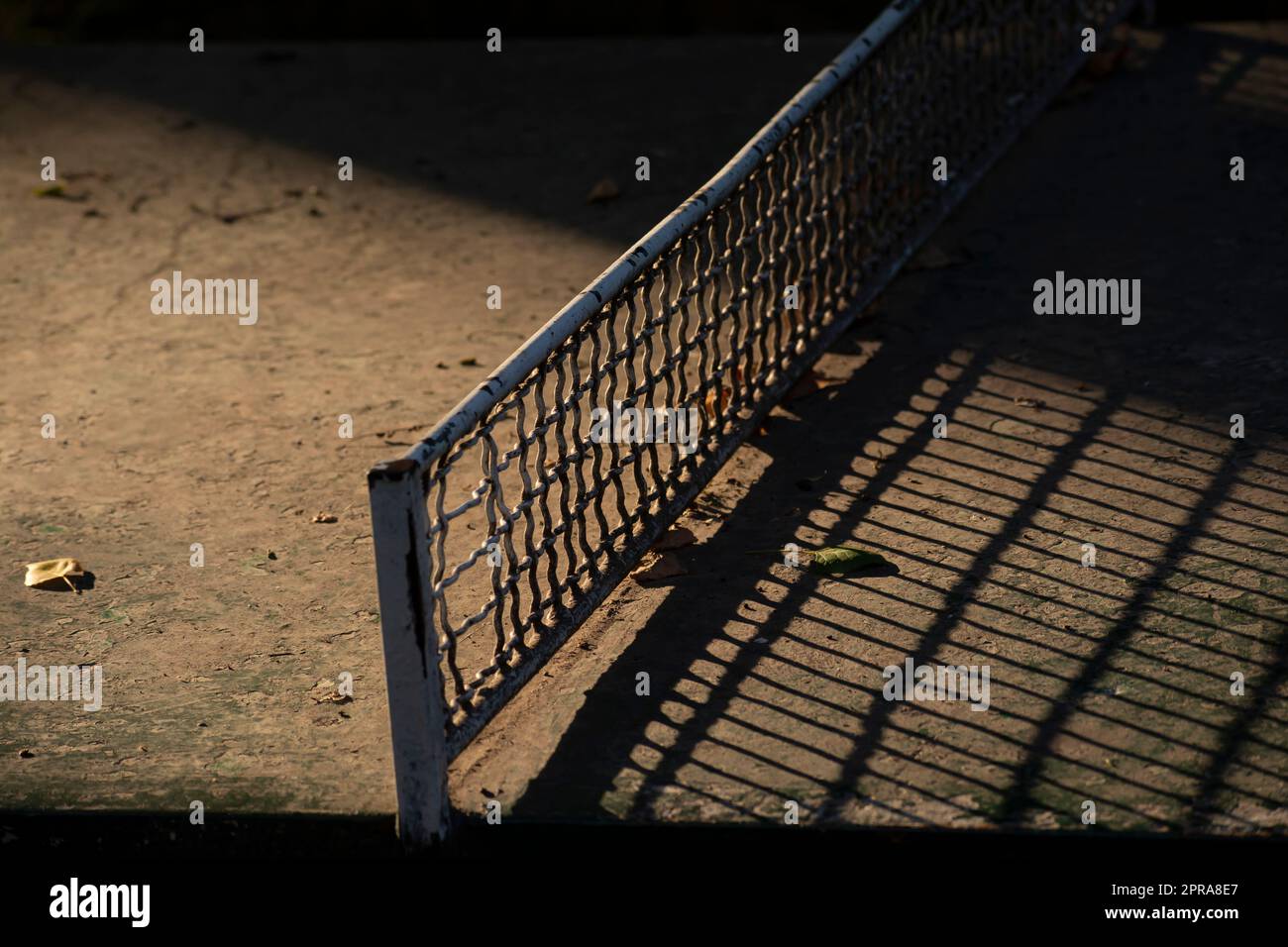 Tennis da tavolo in cemento con luce solare tennosa nel parco all'aperto Foto Stock