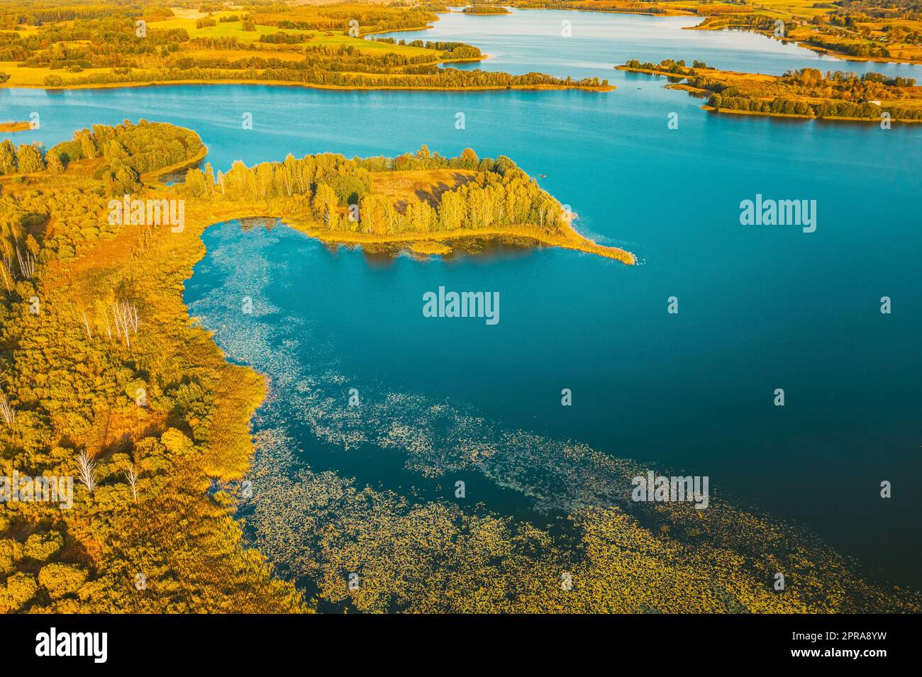 Distretto di Braslaw, Vitebsk Voblast, Bielorussia. Vista aerea del lago Ikazn, paesaggio della Foresta Verde. Vista dall'alto della splendida natura europea da High Attitude. Bird's Eye View. Laghi famosi Foto Stock