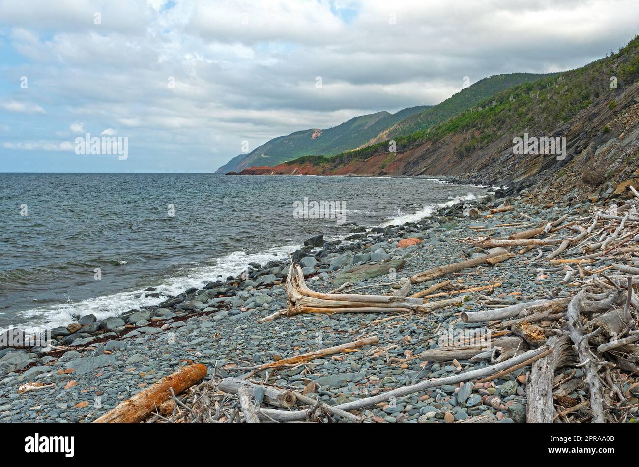 Driftwood su una remota costa rocciosa Foto Stock
