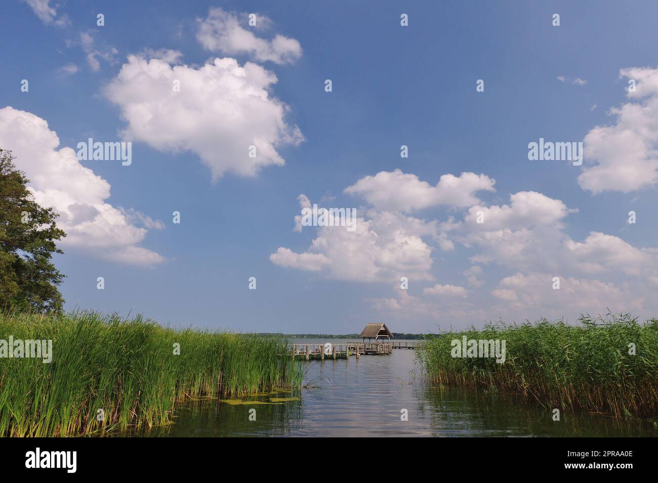 Lago Hemmelsdorf, Ratekau, Ostholstein, Schleswig-Holstein, Germania Foto Stock