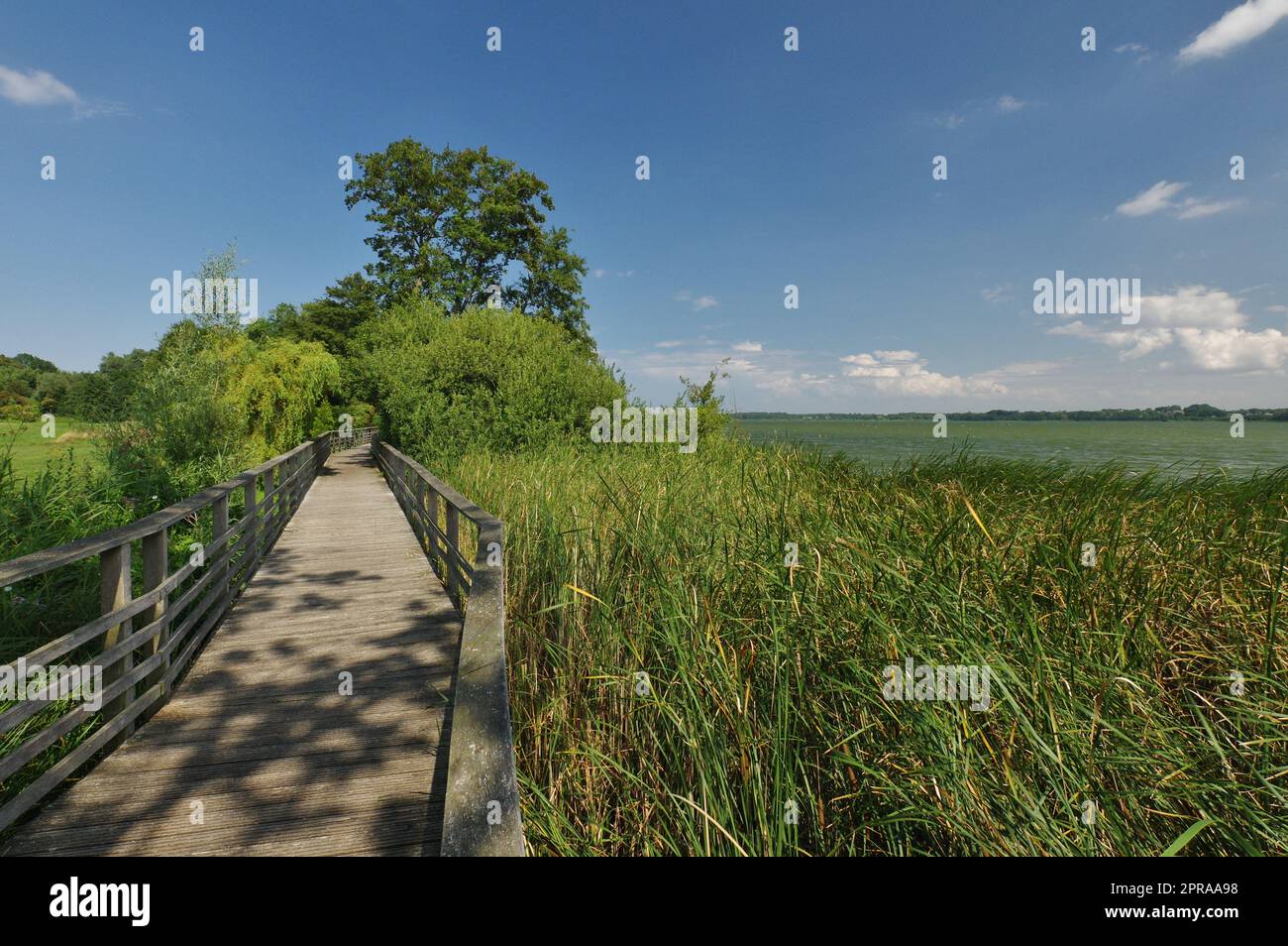 Lago Hemmelsdorf, Ratekau, Ostholstein, Schleswig-Holstein, Germania Foto Stock