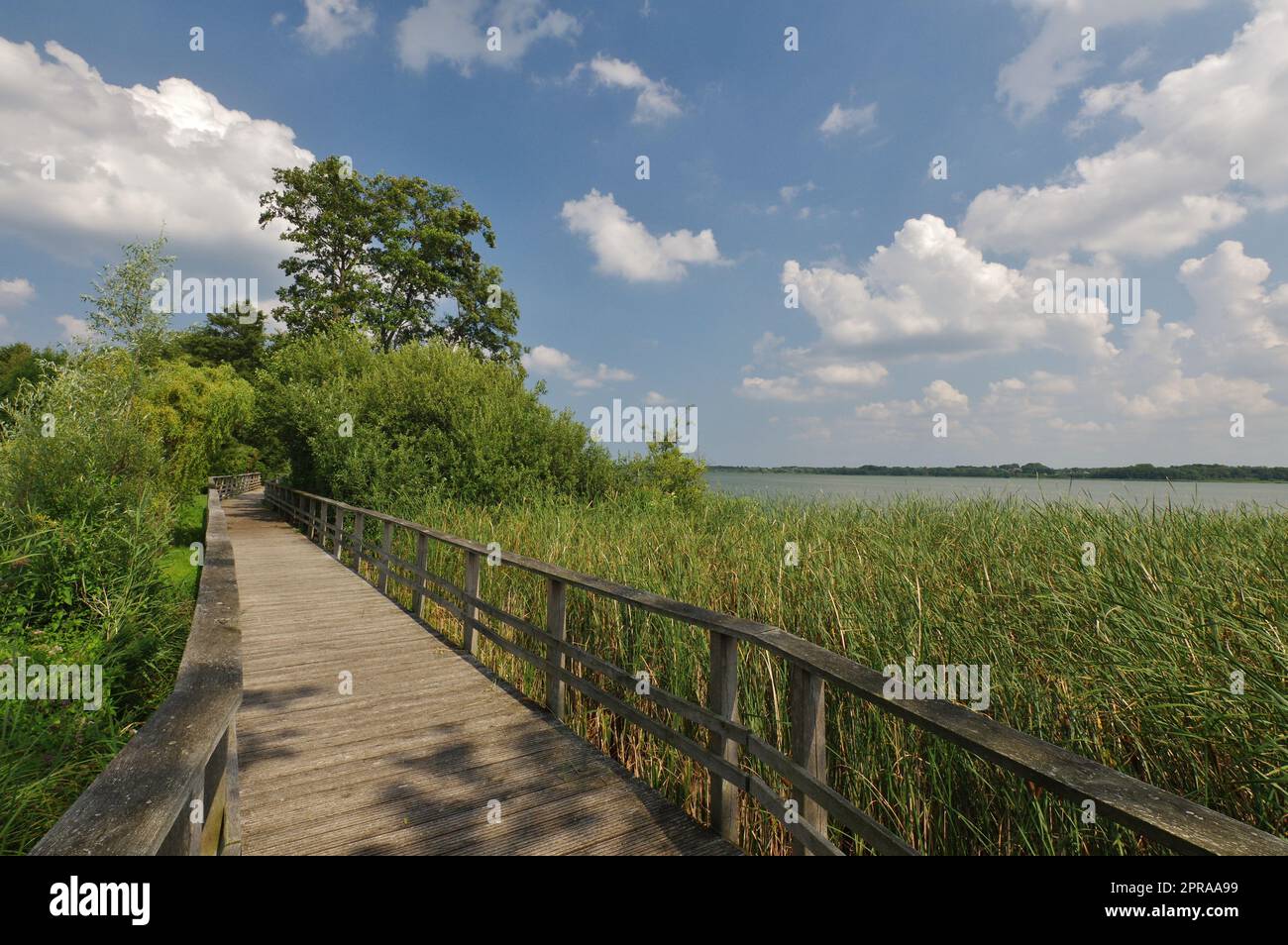 Lago Hemmelsdorf, Ratekau, Ostholstein, Schleswig-Holstein, Germania Foto Stock