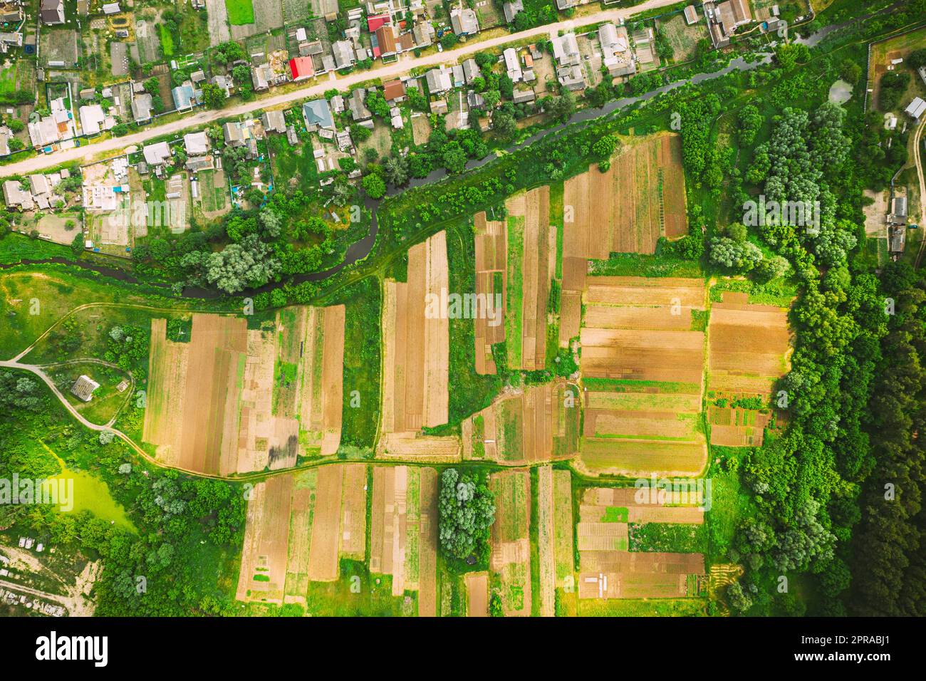 Vista aerea dei Giardini vegetali nella piccola città o villaggio. Skyline in estate sera. Village Garden Beds in Bird's-eye View Foto Stock