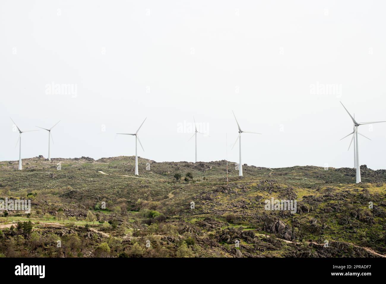Paesaggio verde con turbine eoliche in fila. Sortelha, Portogallo Foto Stock