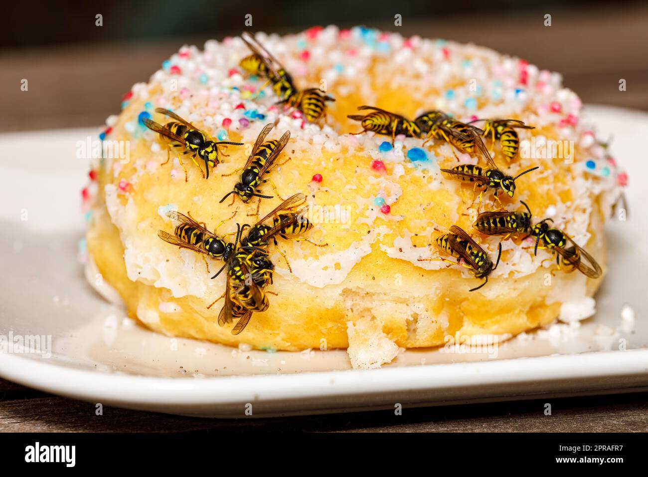 Un Wasp pericoloso sul cibo Foto Stock