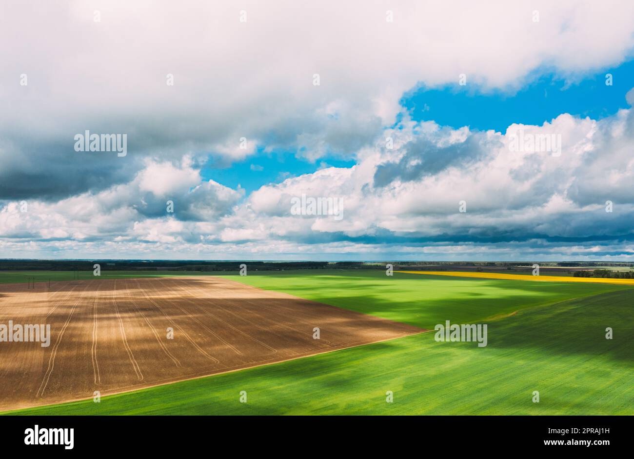 Campagna campo verde rurale Paesaggio con campo di grano giovane e terreno vuoto in Primavera. Campo agricolo. Vista aerea Foto Stock