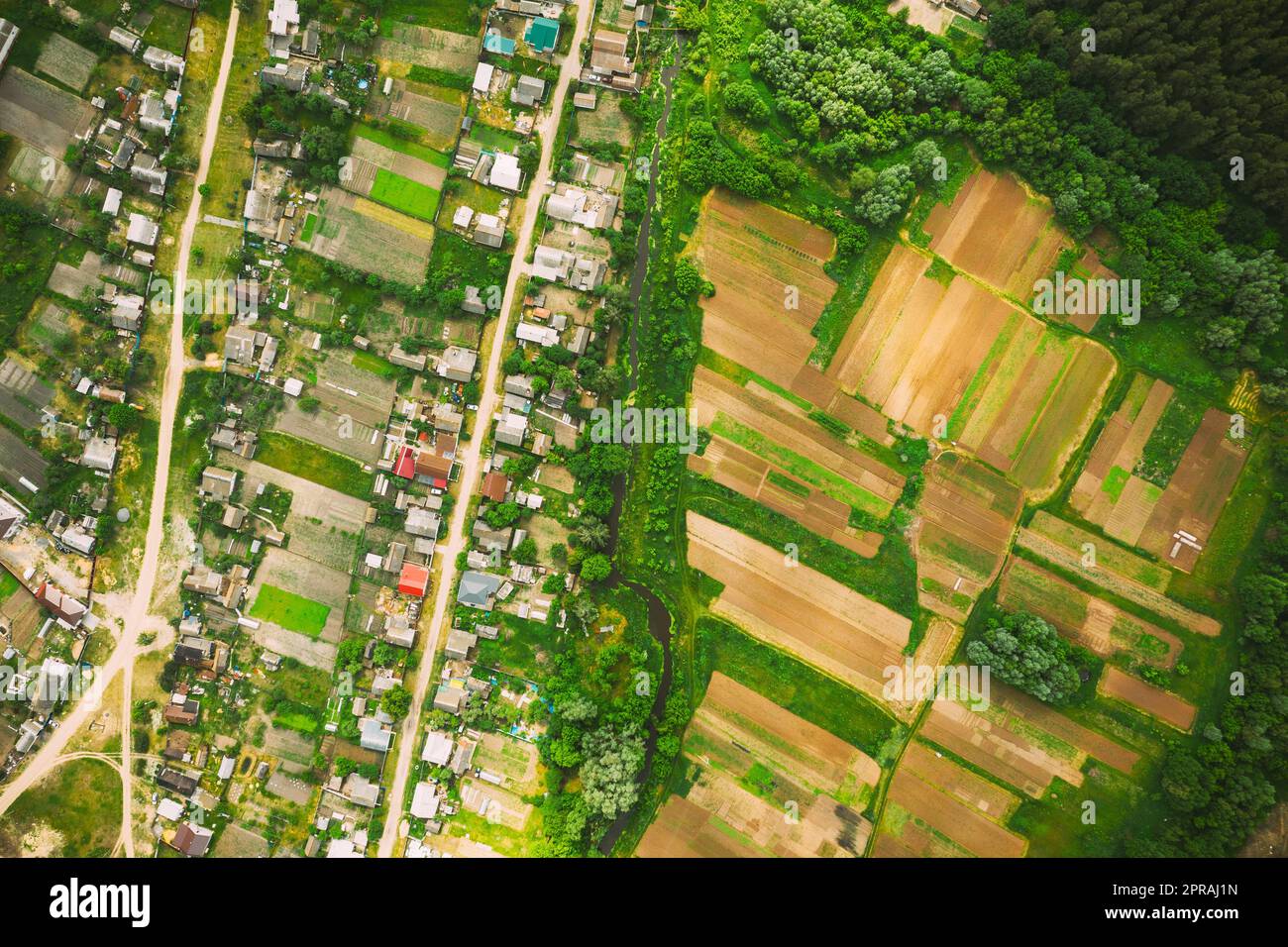 Vista aerea dei Giardini vegetali nella piccola città o villaggio. Skyline in estate sera. Village Garden Beds in Bird's-eye View Foto Stock