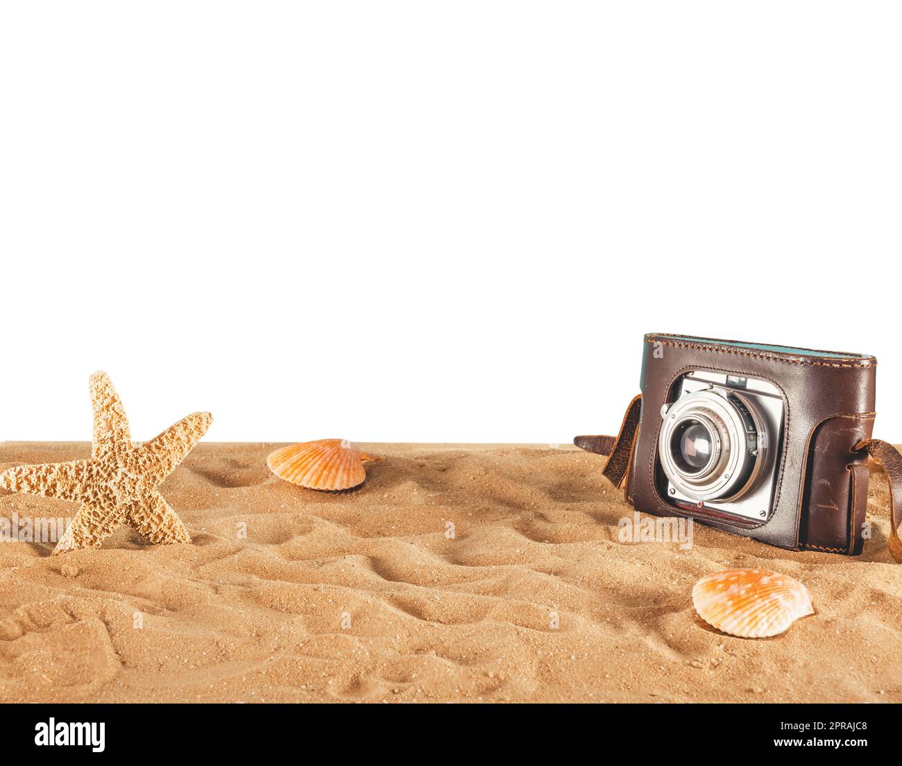 Sfondo di spiaggia con conchiglie, stelle marine e una fotocamera retrò Foto Stock