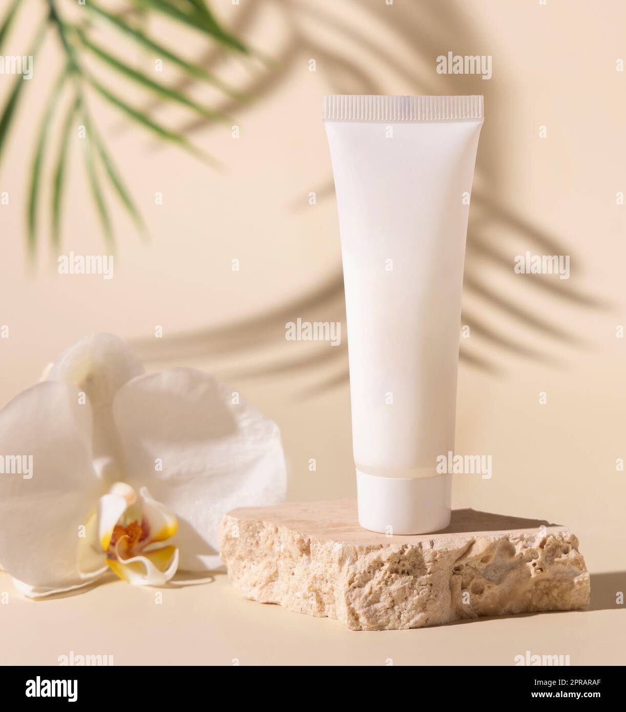 Tubo di plastica bianca crema su pietra vicino al fiore di orchidee su beige chiaro e ombre dure. Mockup Foto Stock