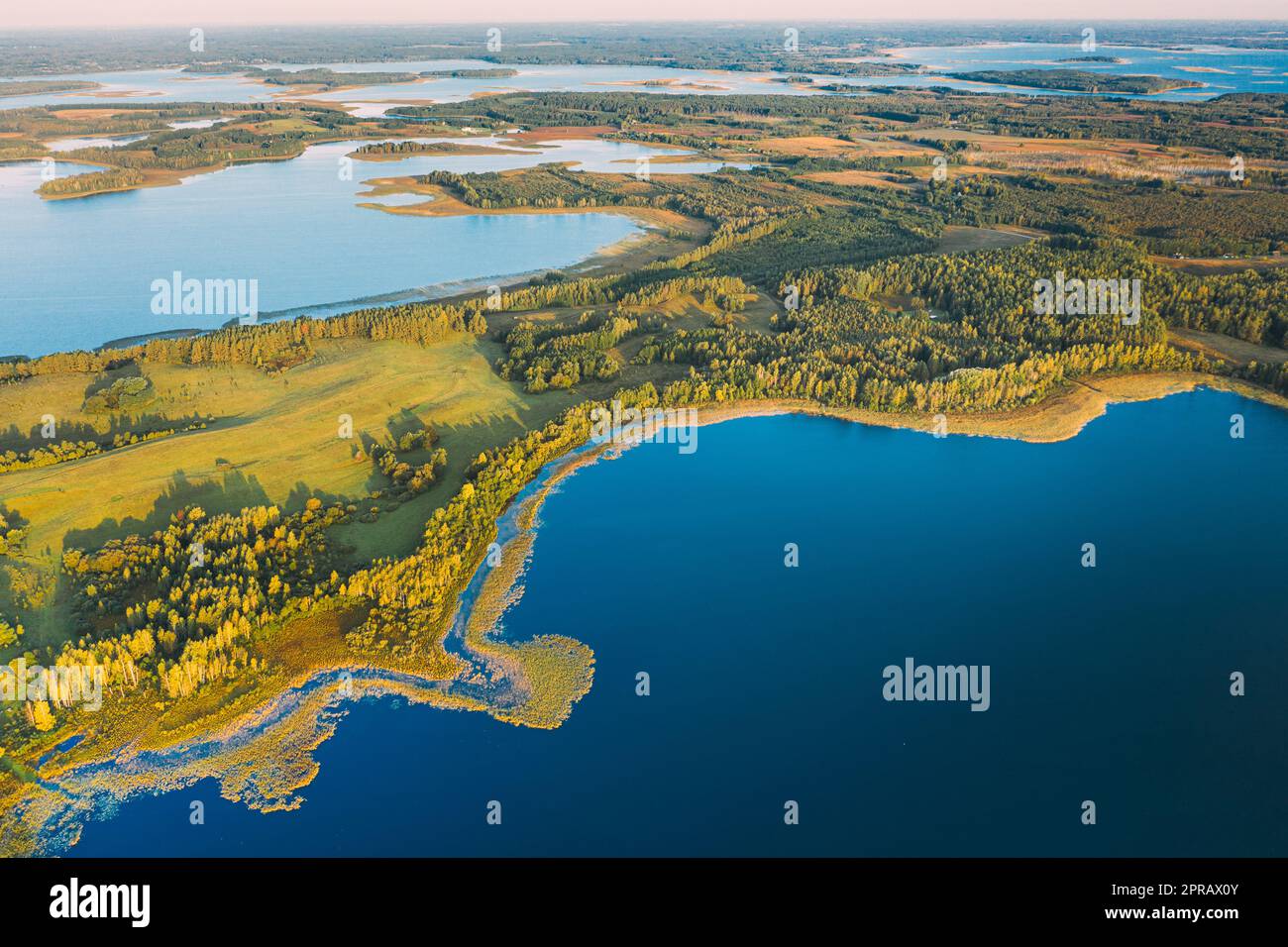 Braslaw o Braslau, Vitebsk Voblast, Bielorussia. Vista aerea del lago di Nedrava e del paesaggio della Foresta Verde nella soleggiata mattinata d'autunno. Vista dall'alto della splendida natura europea da High Attitude. Bird's Eye View. Laghi famosi. Monumenti naturali Foto Stock