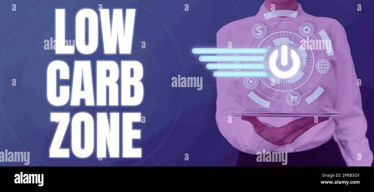 Segno di scrittura a mano Low Carb zone. Idea di business dieta sana per perdere peso mangiare più proteine donna senza zucchero che mostra simboli online utilizzati per importanti idee di business. Foto Stock