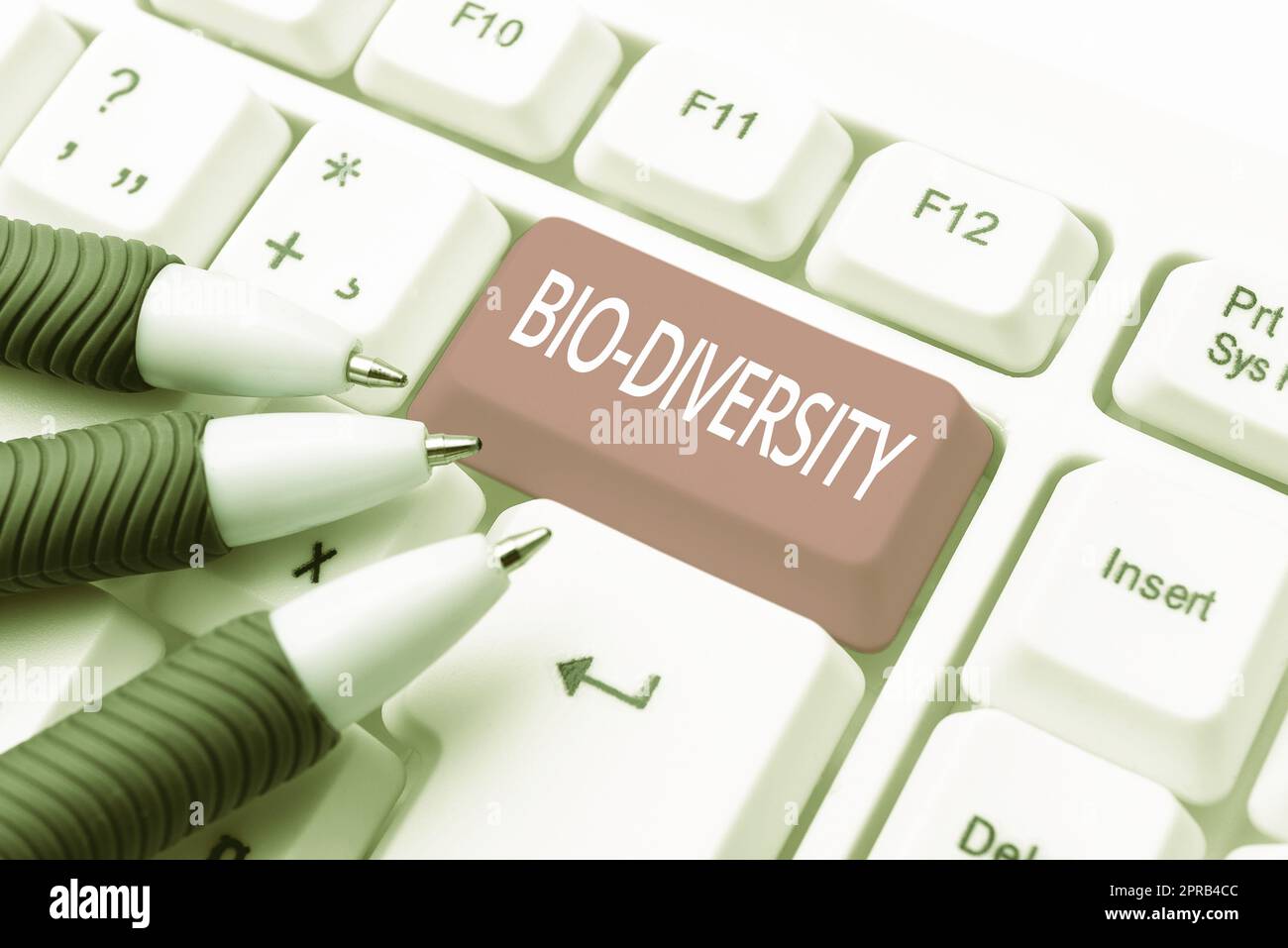 Didascalia di testo che presenta Bio Diversity. Business idea varietà di organismi di vita fauna marina ecosistema Habitat -48883 Foto Stock