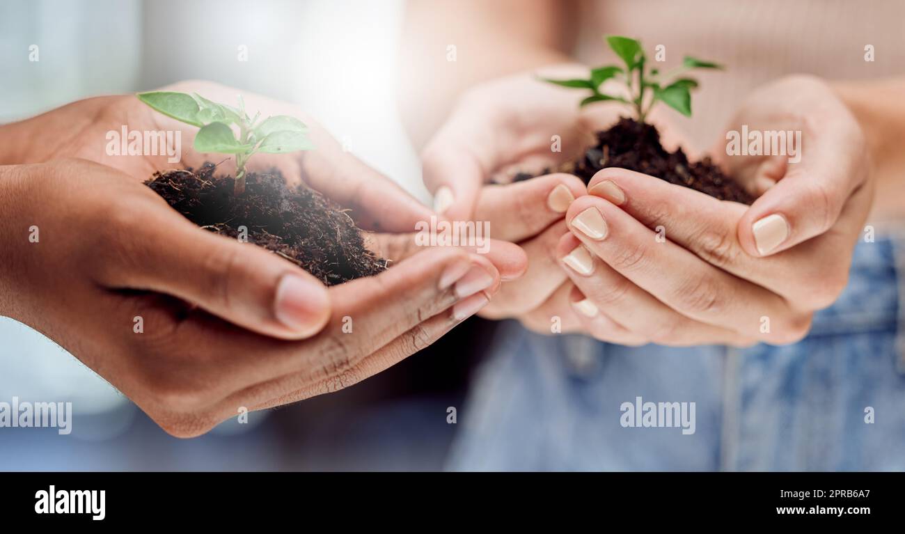 La crescita è una parte essenziale della vita. Due persone irriconoscibili che tengono piante che crescono dal suolo. Foto Stock