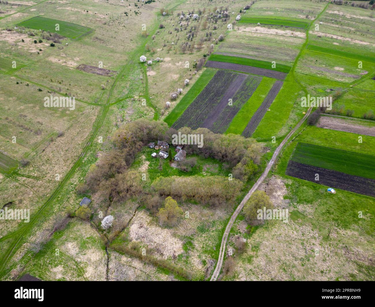 Un'immagine dall'alto di un sereno paesaggio primaverile, con un campo verde e boschi vicini. Paesaggio rurale primaverile Foto Stock