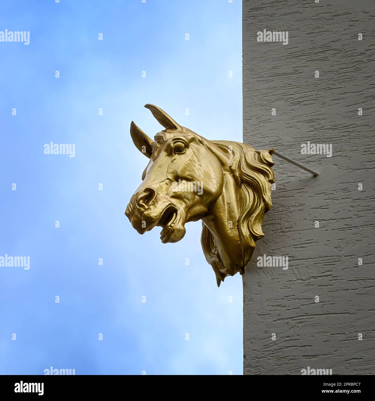 Una testa a cavallo decora l'angolo di un edificio nel centro storico di Basilea, in Svizzera. Foto Stock