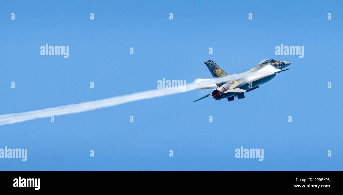 L'incredibile Falcon combattente! Foto Stock