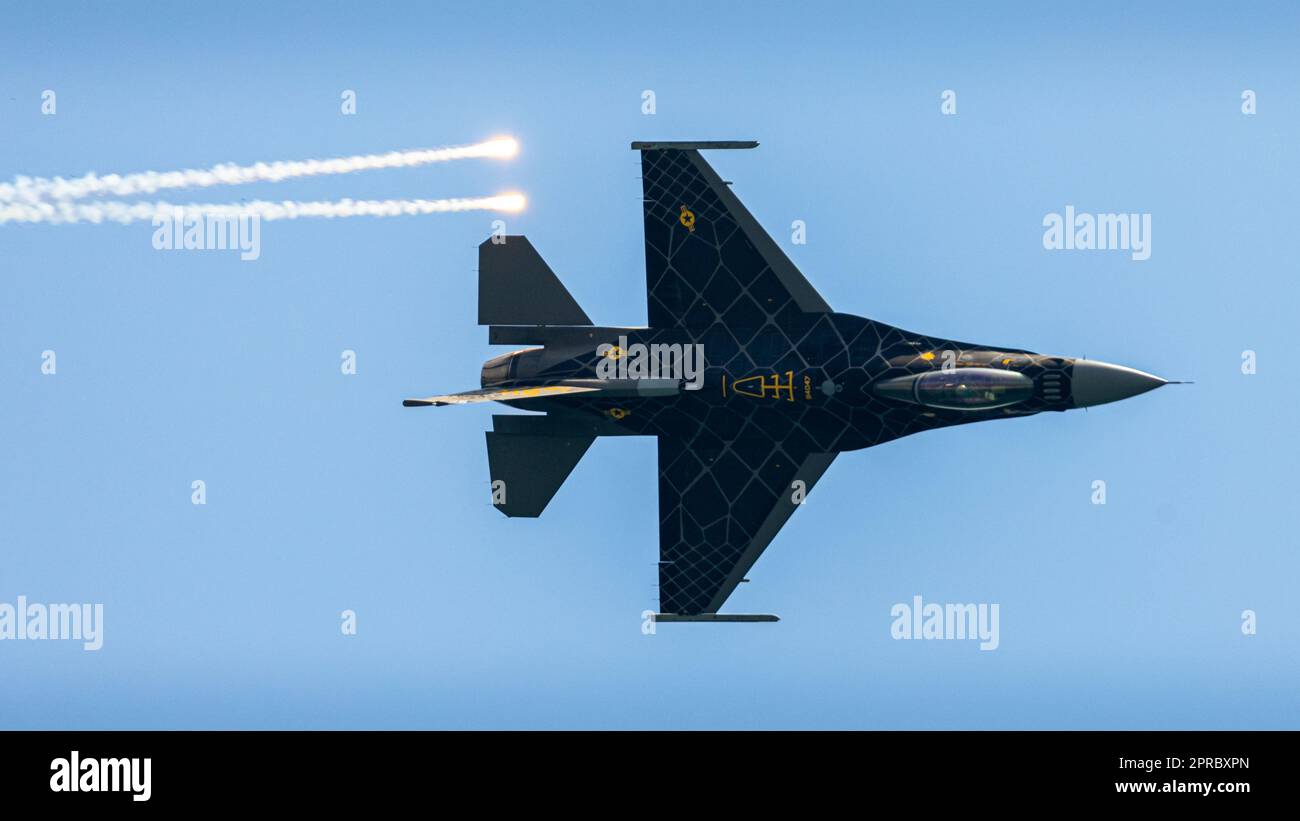 L'incredibile Falcon combattente! Foto Stock