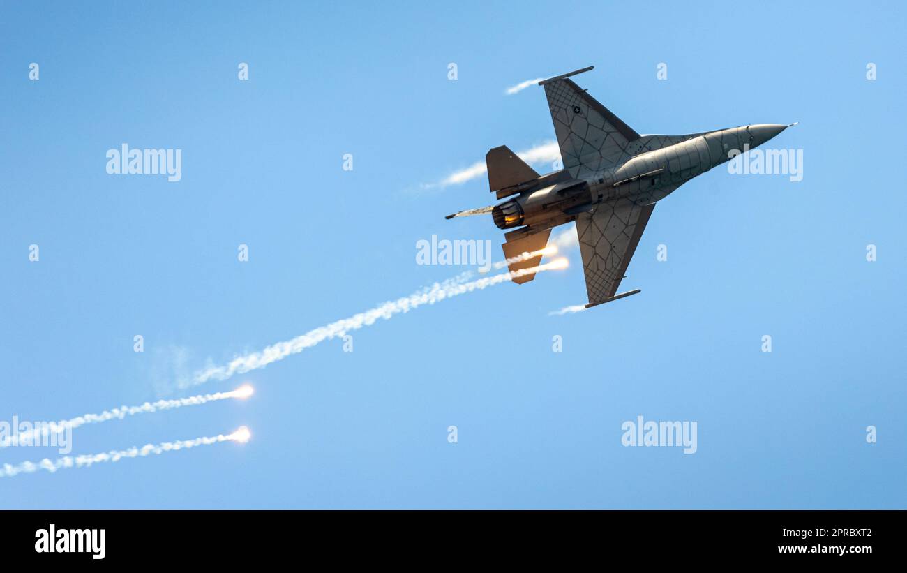 L'incredibile Falcon combattente! Foto Stock