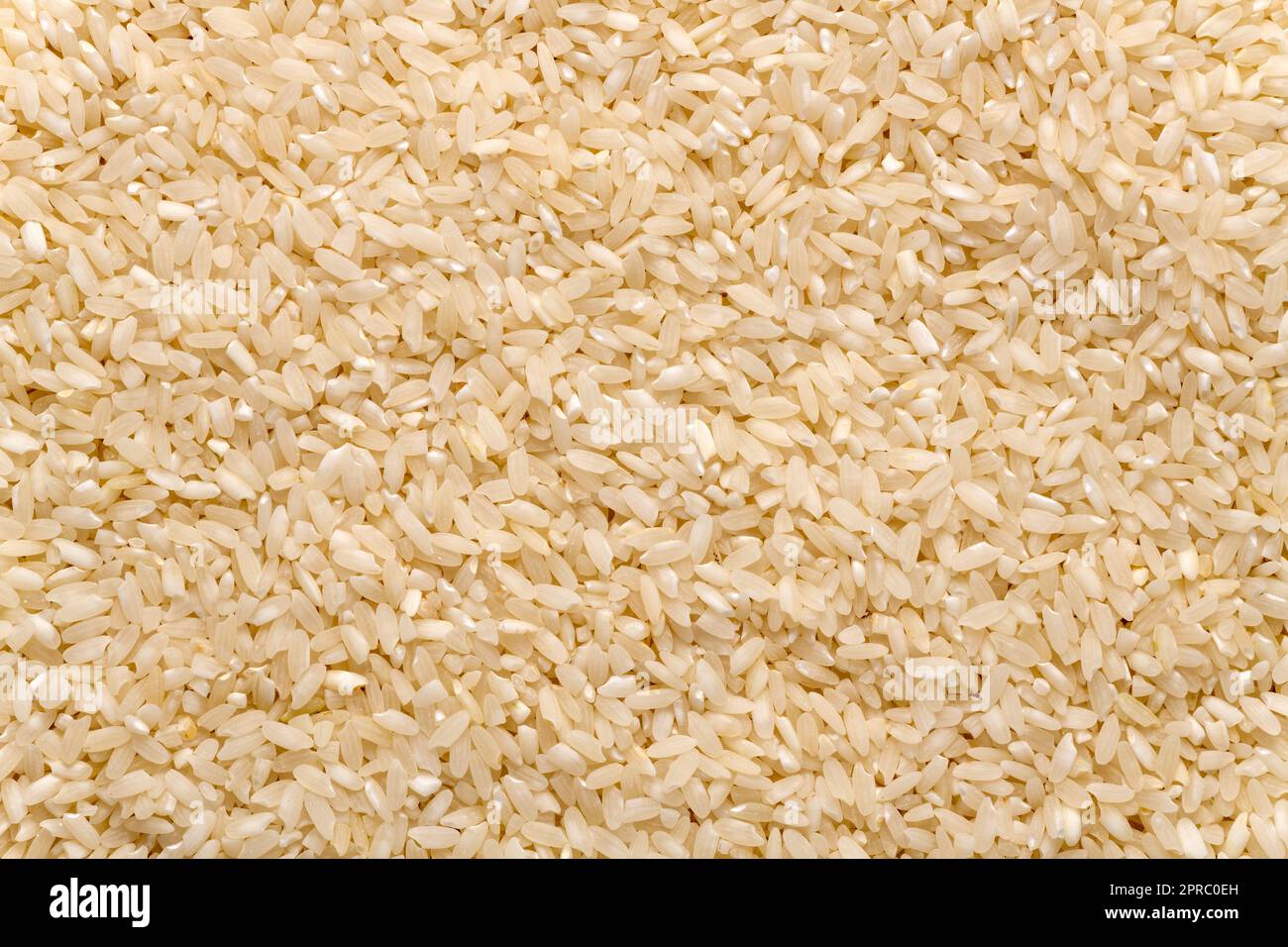 Carolina piantagione riso sfondo struttura, primo piano. Riso d'oro del South Carolina. Foto Stock