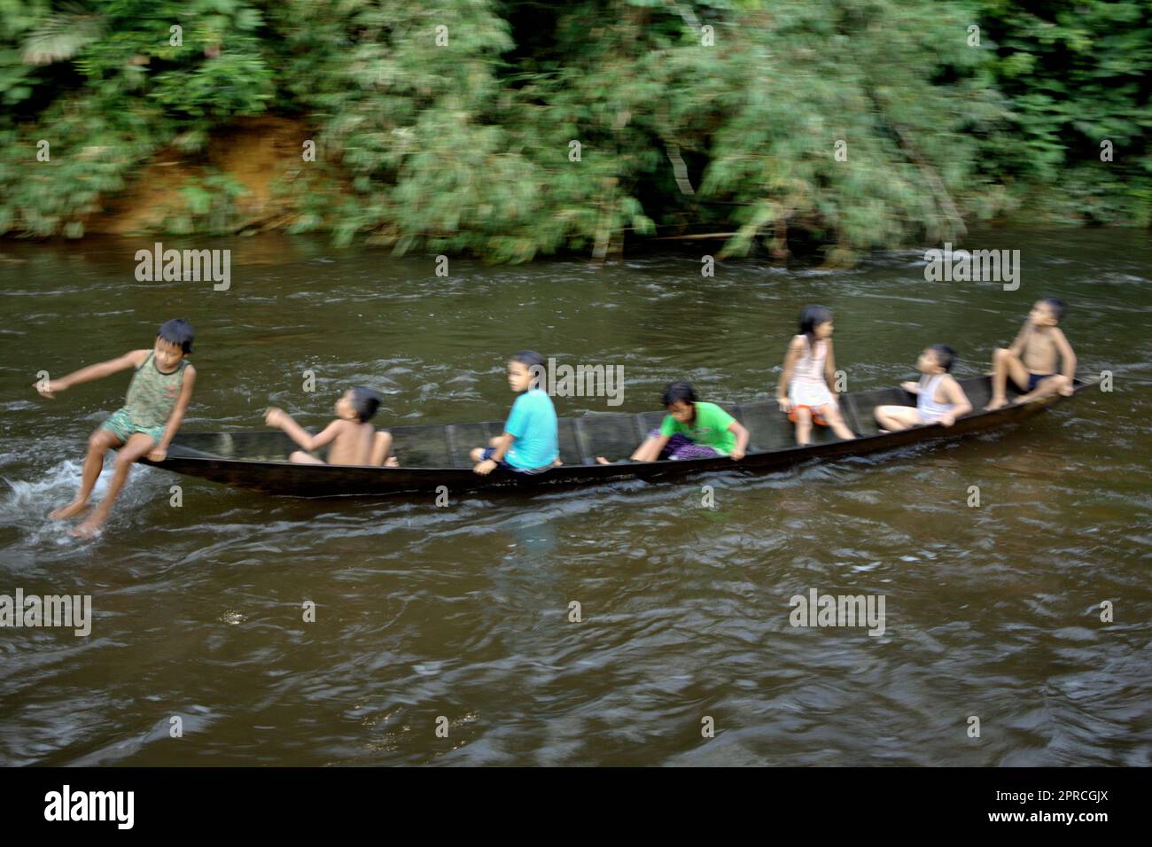 I bambini che hanno tempo libero con una barca di legno in un fiume vicino alla più lunga comunità IBAN tradizionale di Dayak a Sungai Utik, Batu Lintang, Embaloh Hulu, Kapuas Hulu, Kalimantan occidentale, Indonesia. La conoscenza indigena può essere una fonte unica di tecniche per l'adattamento al cambiamento climatico e può essere favorita rispetto alla conoscenza generata esternamente, secondo il rapporto del 2023 pubblicato dal Gruppo intergovernativo sui cambiamenti climatici (IPCC). La relazione ha aggiunto che la conoscenza indigena è un' importante fonte di orientamento per la conservazione della biodiversità, la valutazione d'impatto, la governance,... Foto Stock