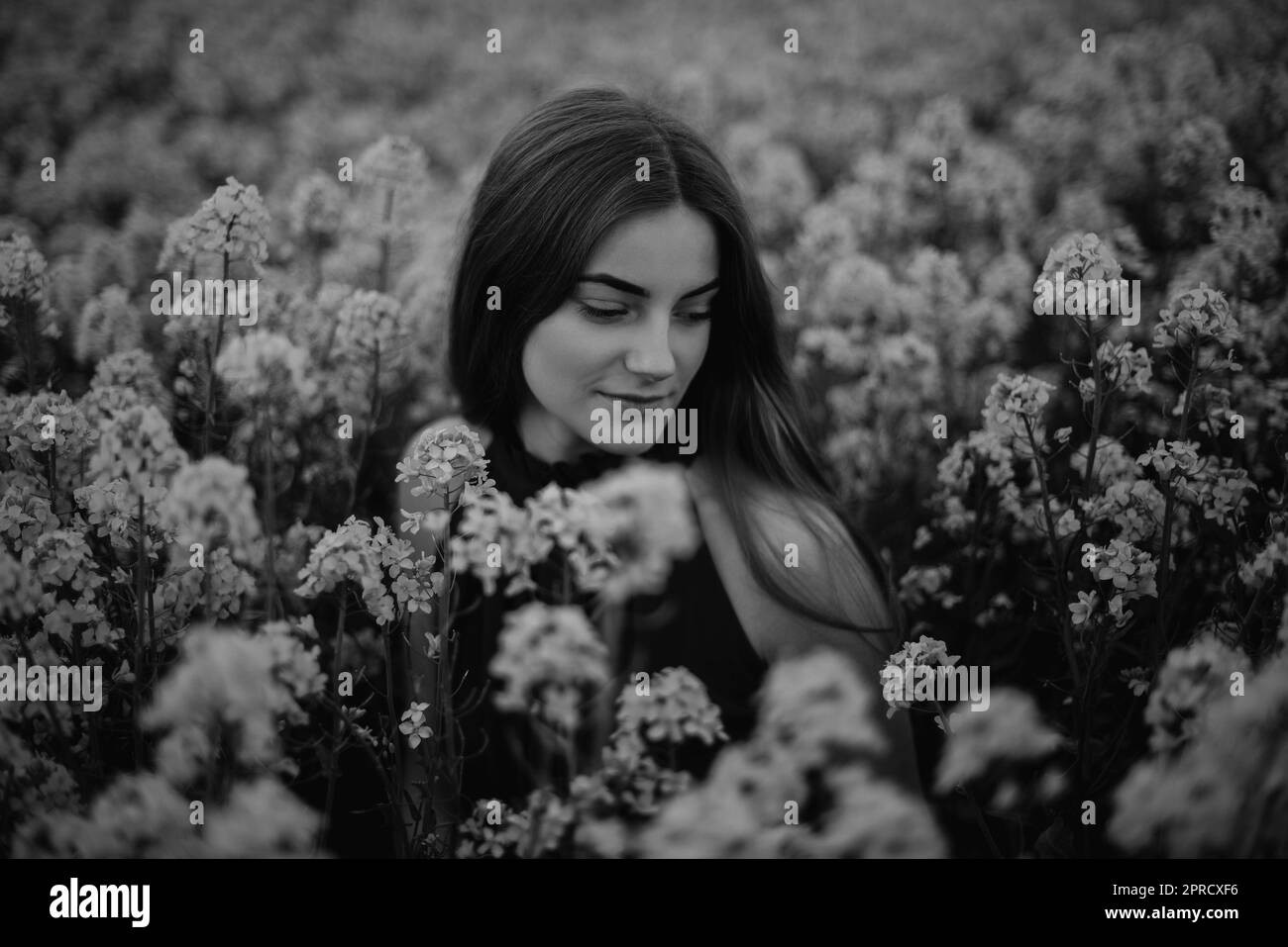 Ragazza nel campo dei fiori Foto Stock