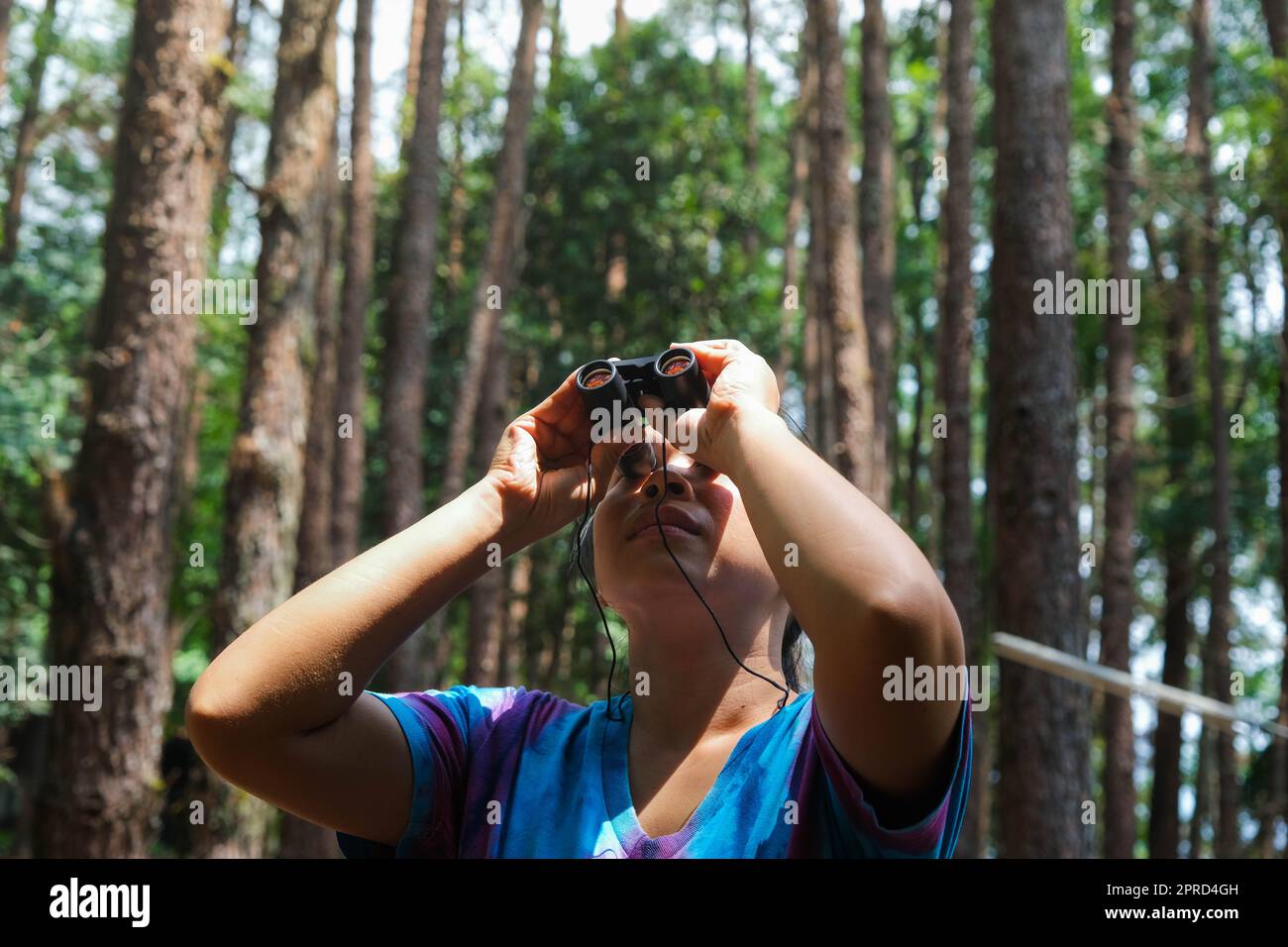 Giovane donna che guarda gli uccelli nella foresta attraverso binocoli. Turista femminile con attrezzo che osserva la natura nella foresta. Stile di vita sano ed eco-touri Foto Stock