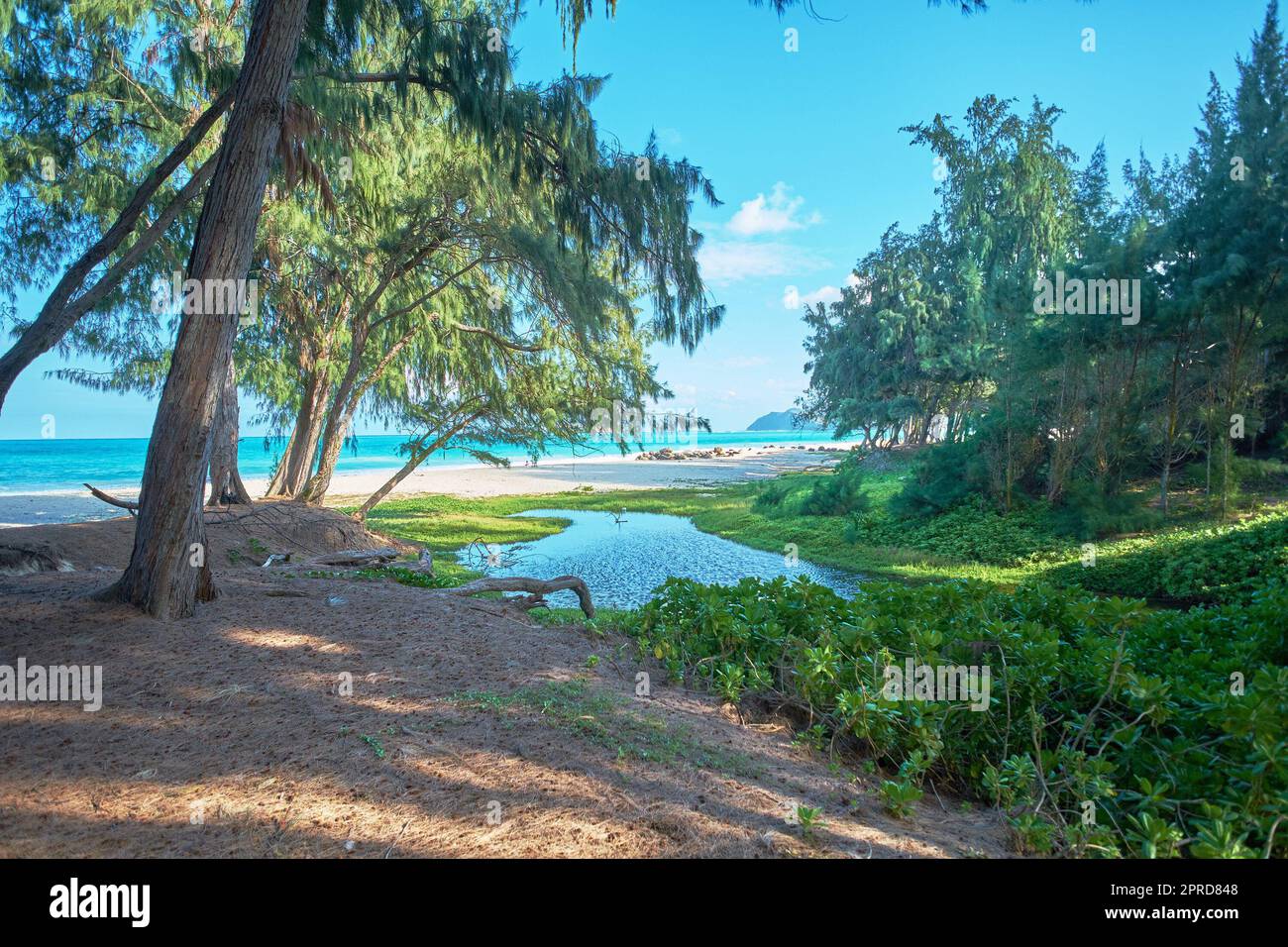 Bellows Field Beach Park - Oahu, Hawaii. Una foto della famosa spiaggia Hawaiiana - Bellow Field Beach Park, vicino a Waimanalo, l'isola di Oahu, Hawaii. Foto Stock