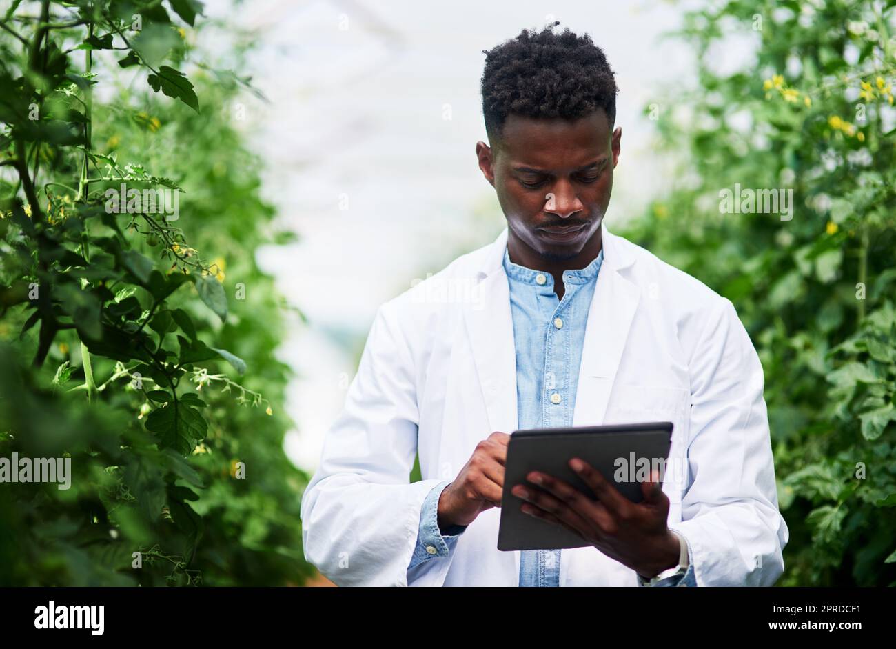 La registrazione e l'analisi dei dati fanno parte del lavoro: Un bel giovane botanico che utilizza un tablet digitale mentre lavora all'aperto in natura. Foto Stock